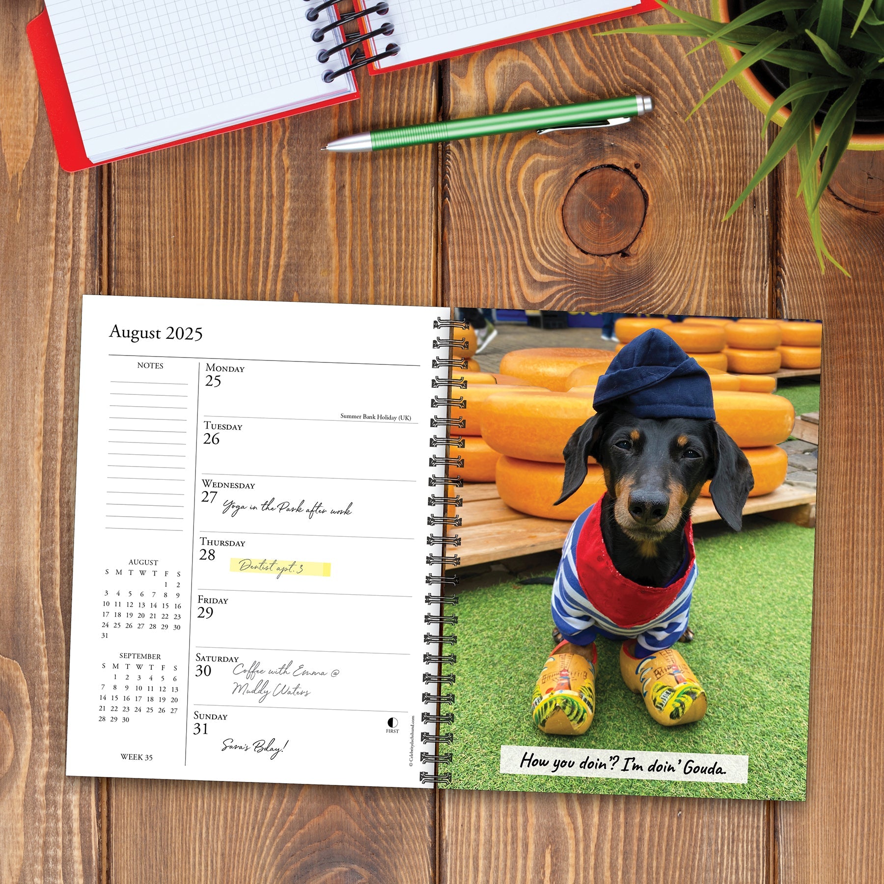 2025 Crusoe the Celebrity Dachshund - Weekly Diary/Planner