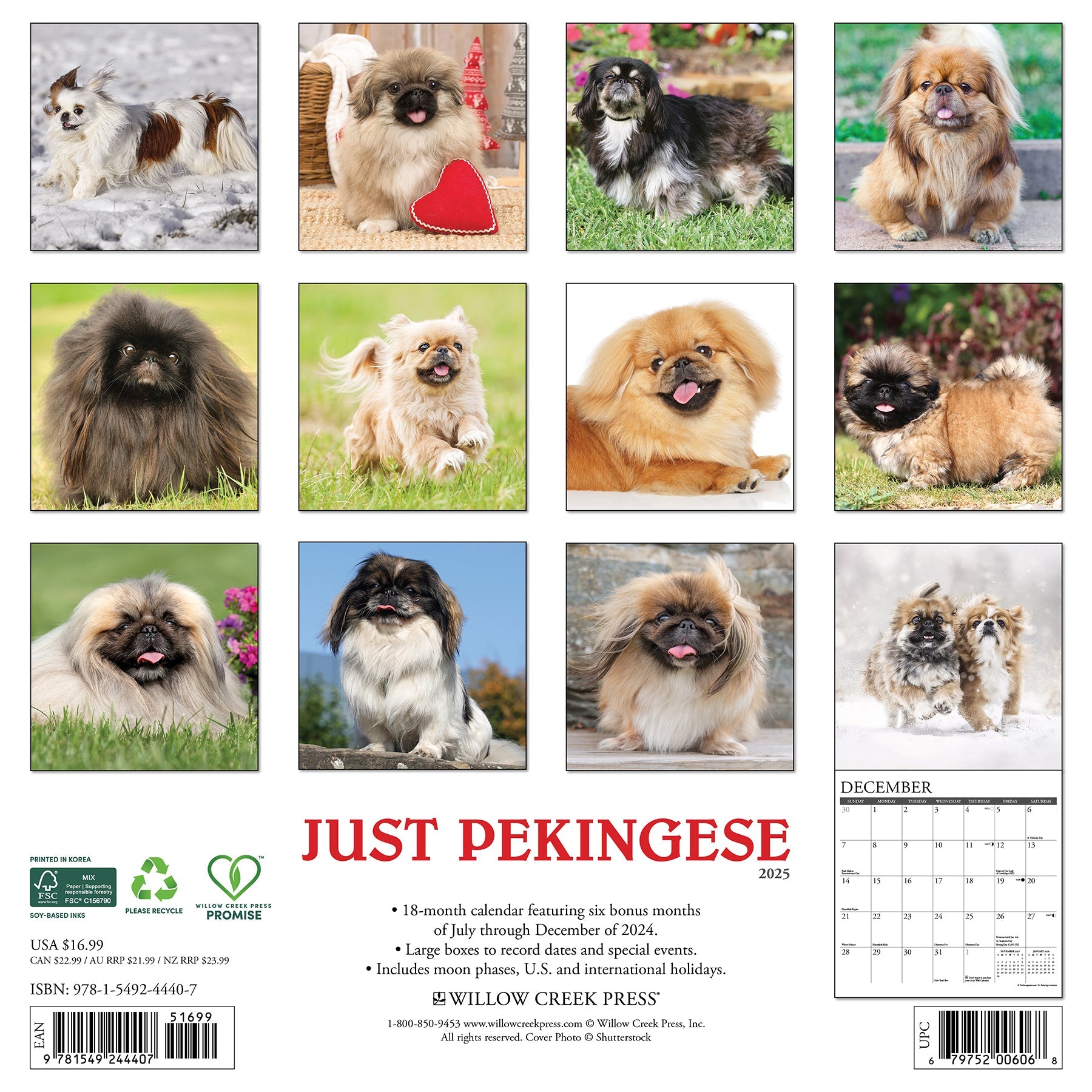 2025 Pekingese - Square Wall Calendar