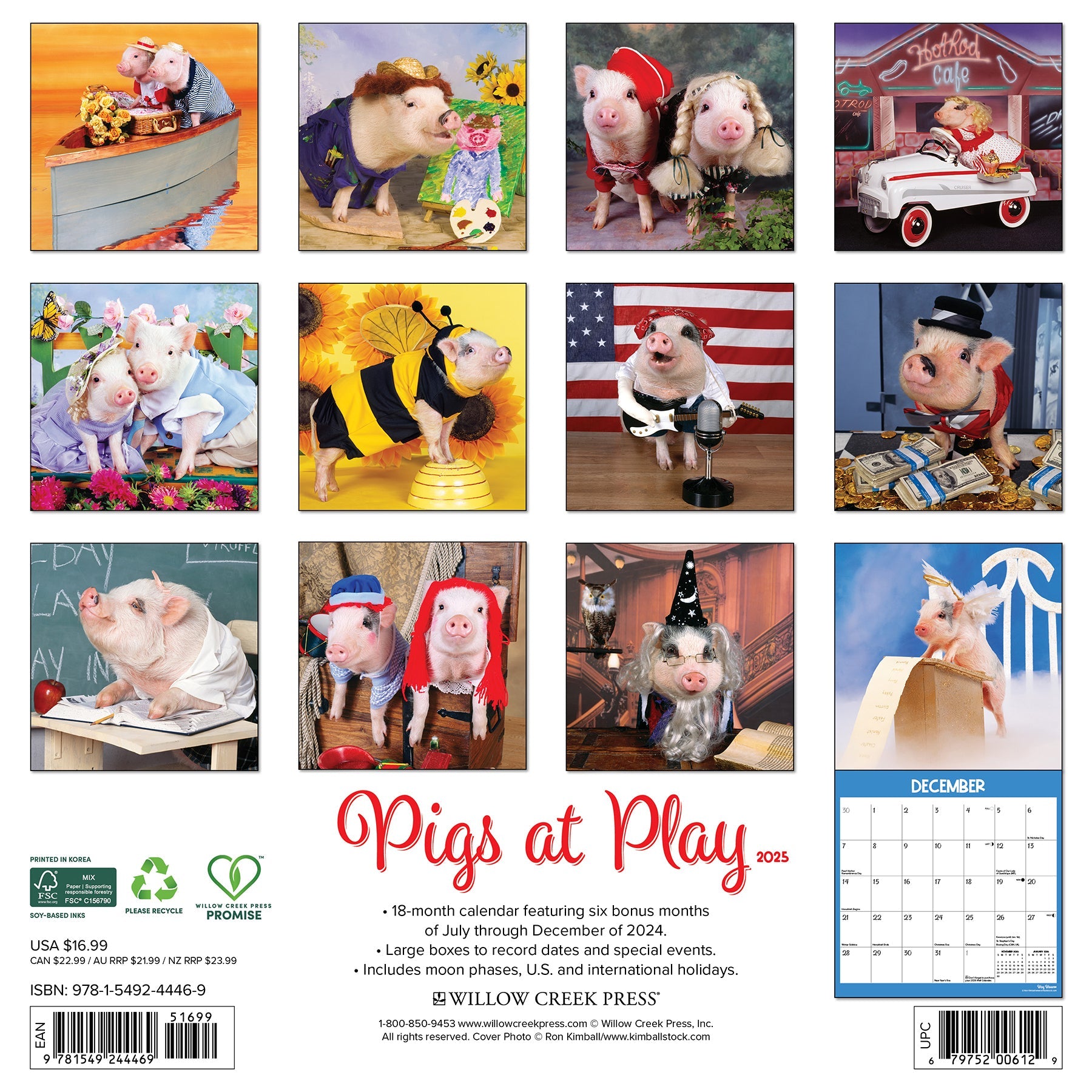 2025 Pigs at Play - Square Wall Calendar