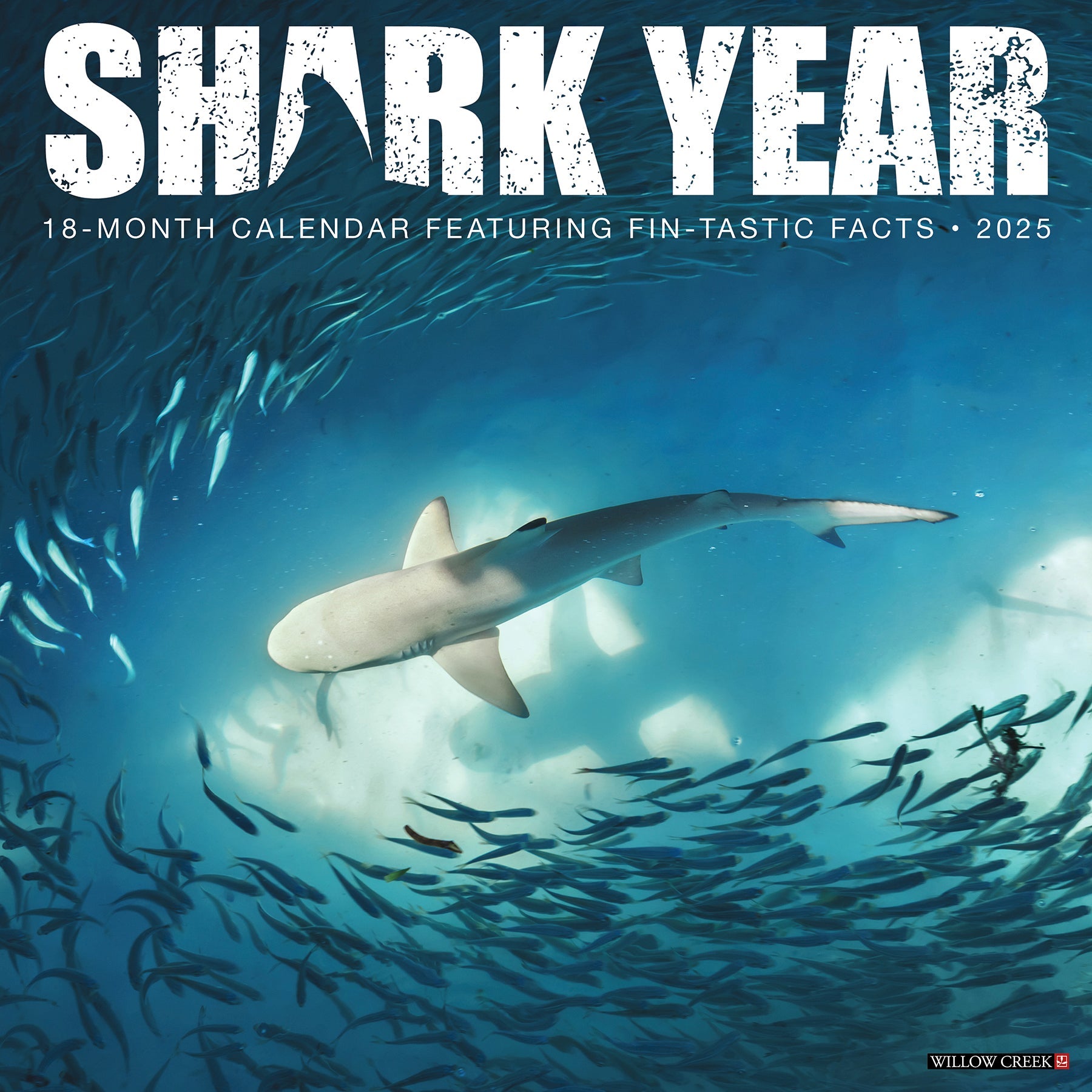 2025 Shark Year - Square Wall Calendar