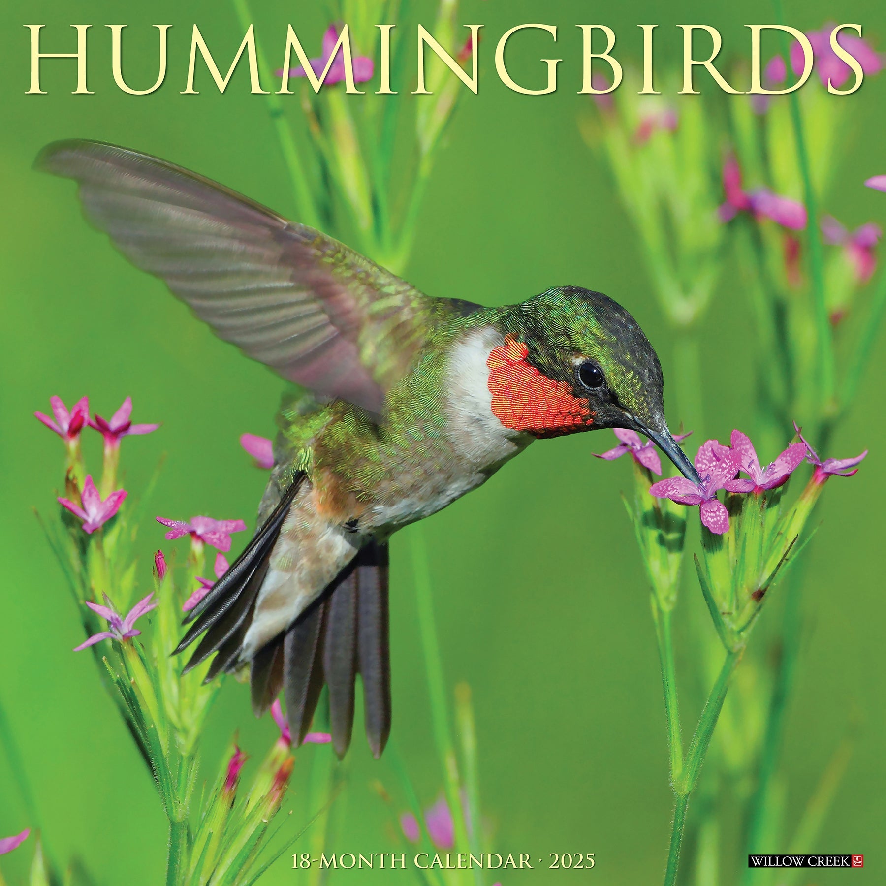 2025 Hummingbirds - Square Wall Calendar