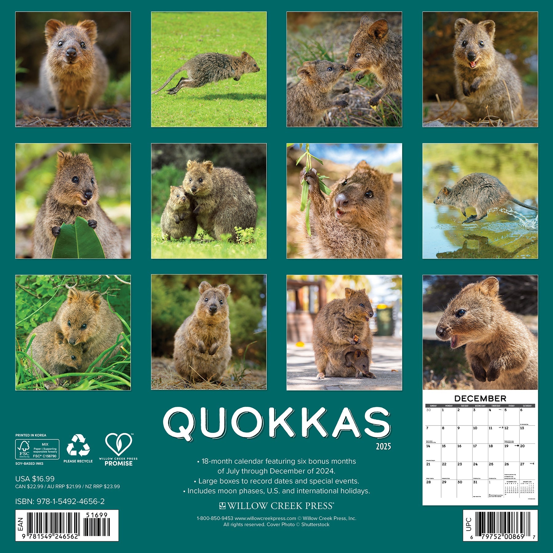 2025 Quokkas - Square Wall Calendar