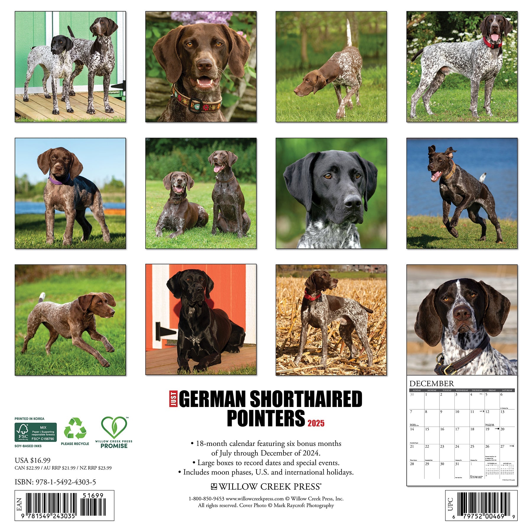 2025 German Shorthaired Pointers - Square Wall Calendar