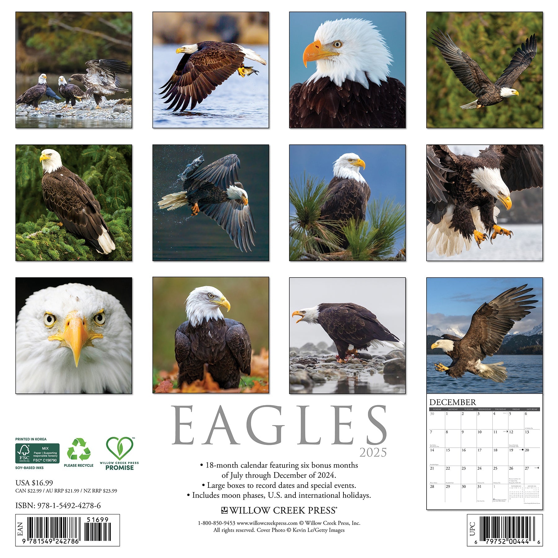 2025 Eagles - Square Wall Calendar