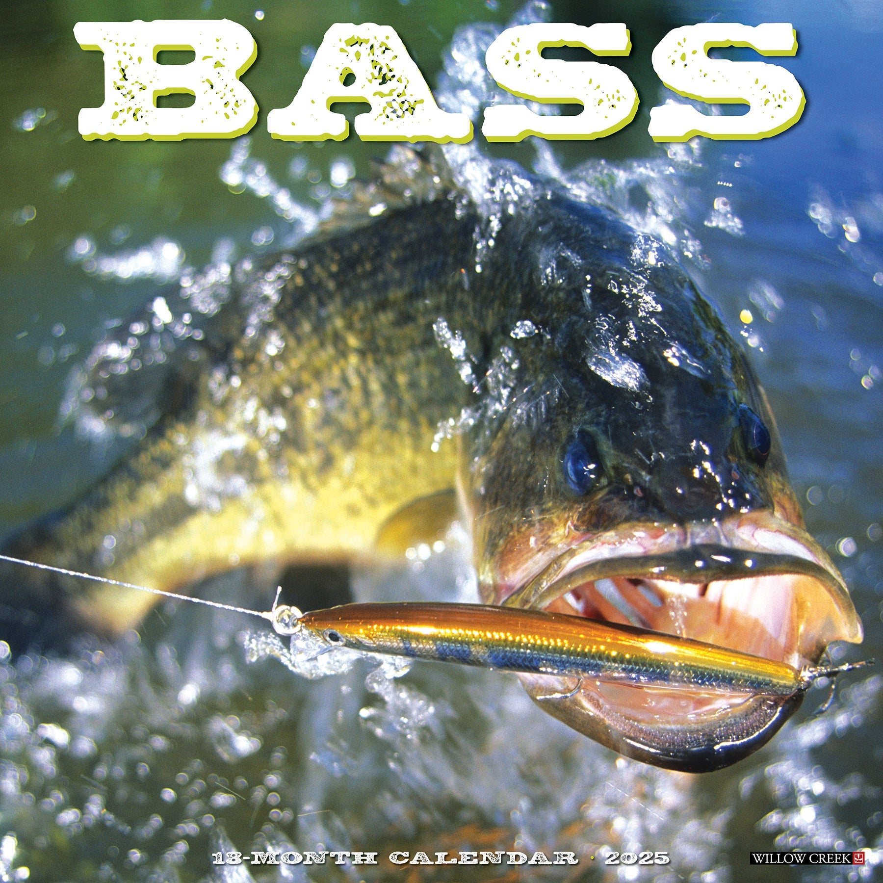 2025 Bass - Square Wall Calendar