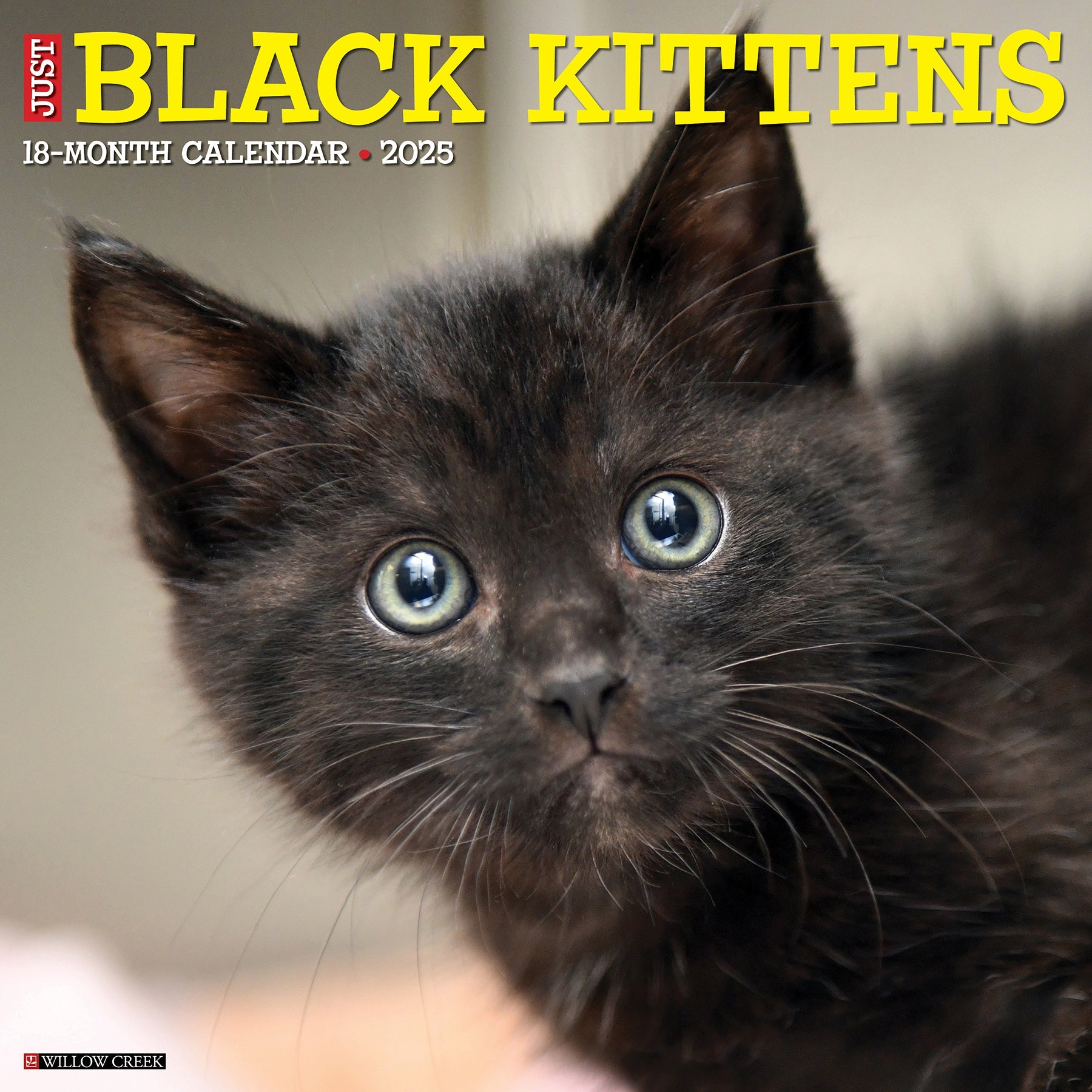 2025 Black Kittens - Square Wall Calendar
