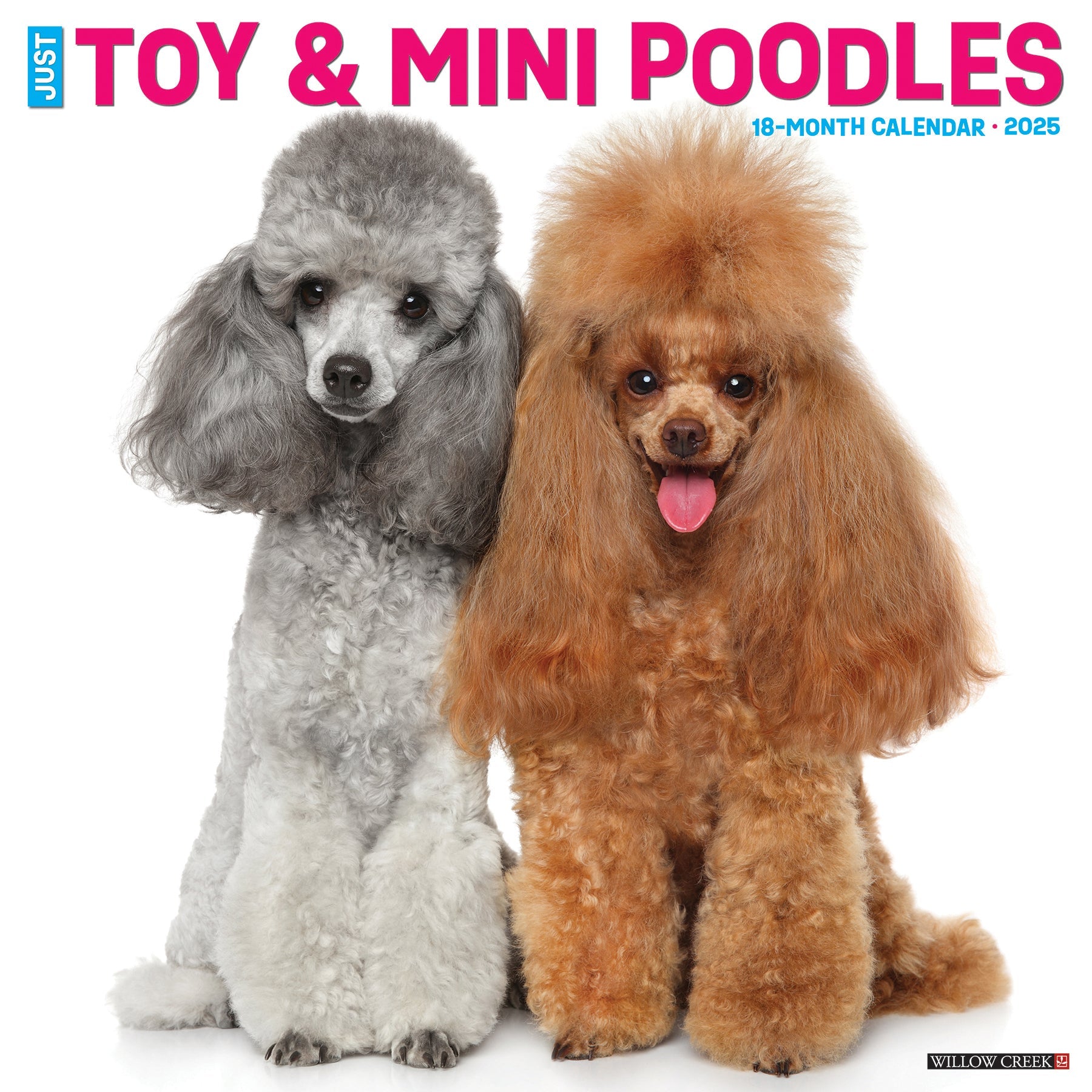 2025 Toy & Miniature Poodles - Square Wall Calendar