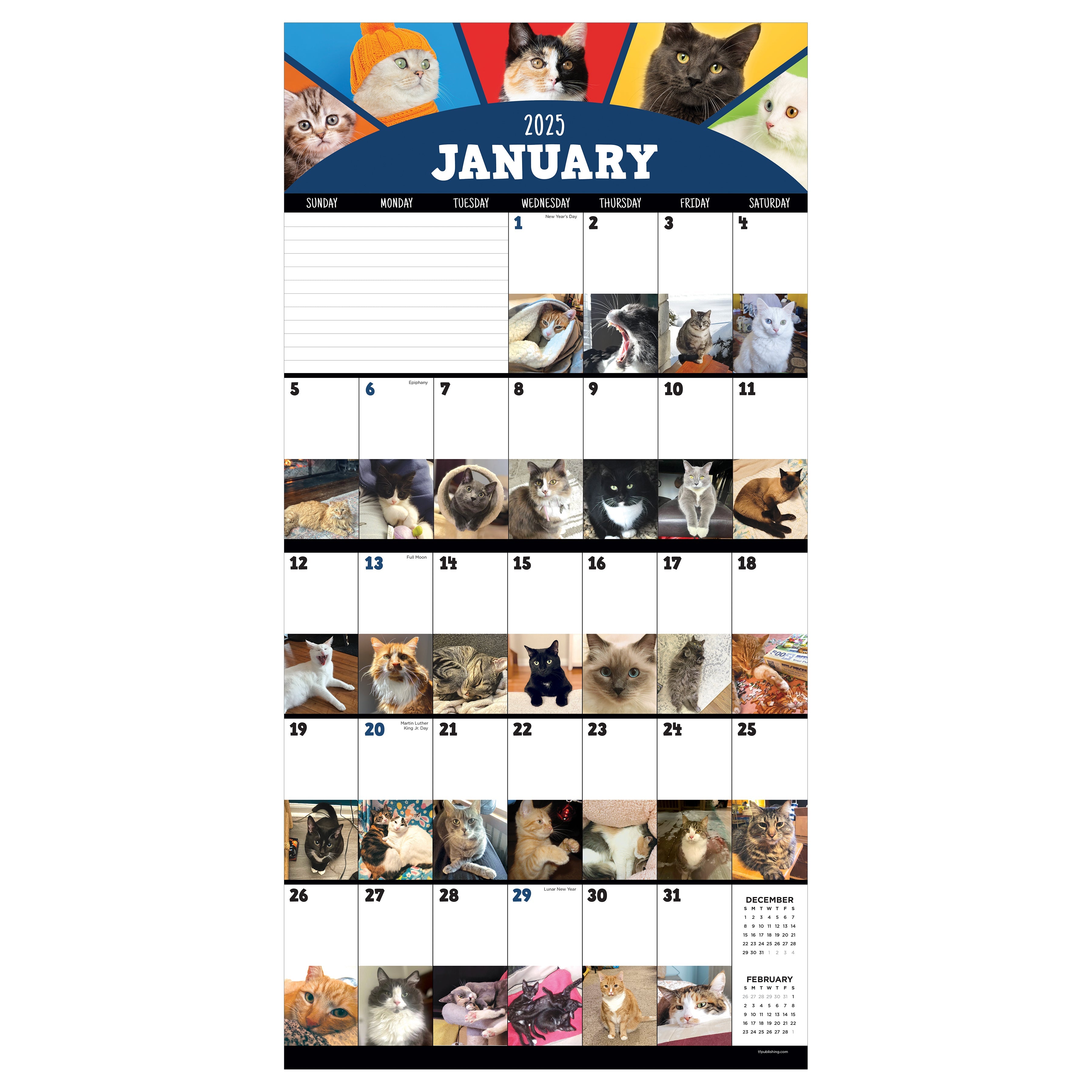 2025 Cat-A-Day - Square Wall Calendar