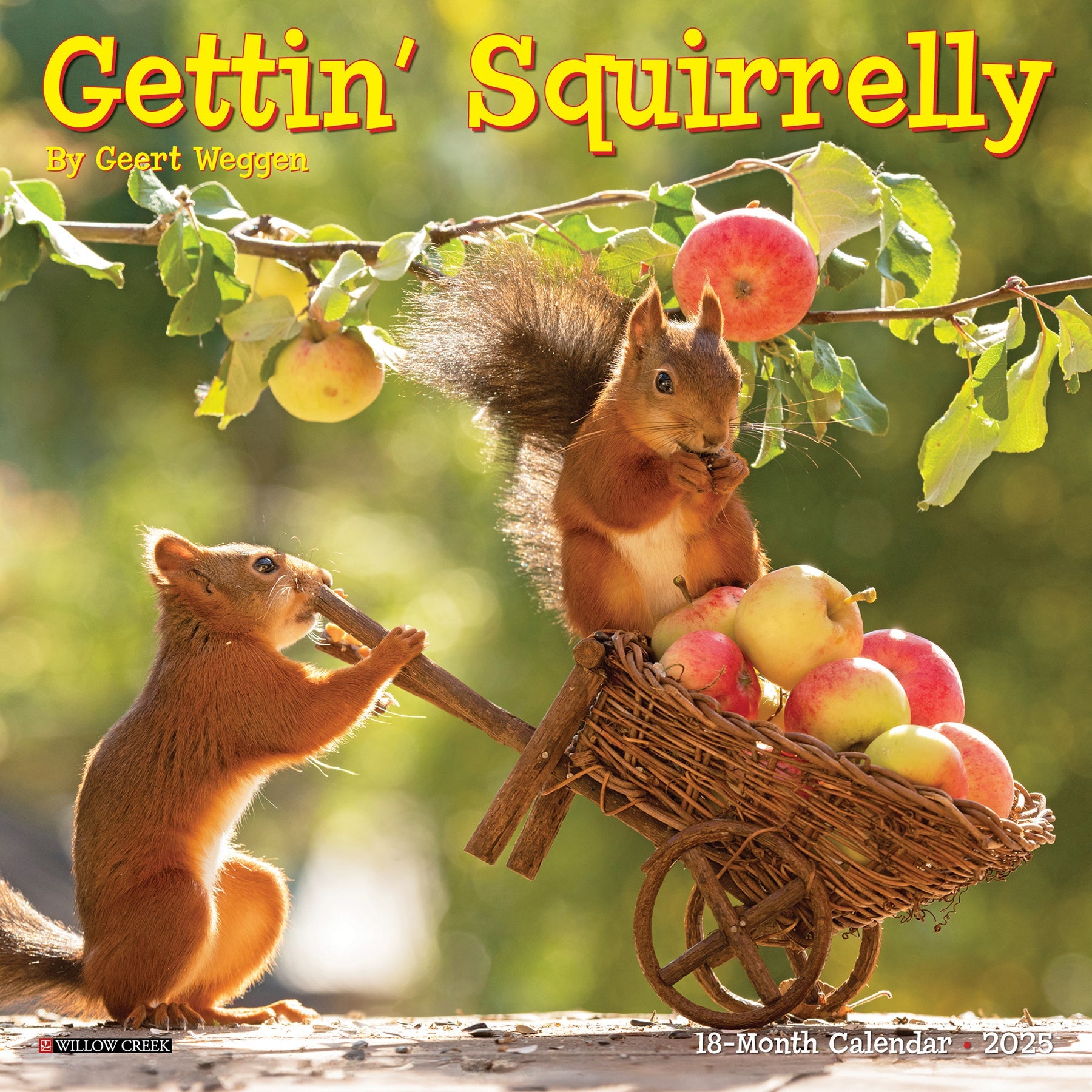 2025 Gettin' Squirrelly - Mini Wall Calendar