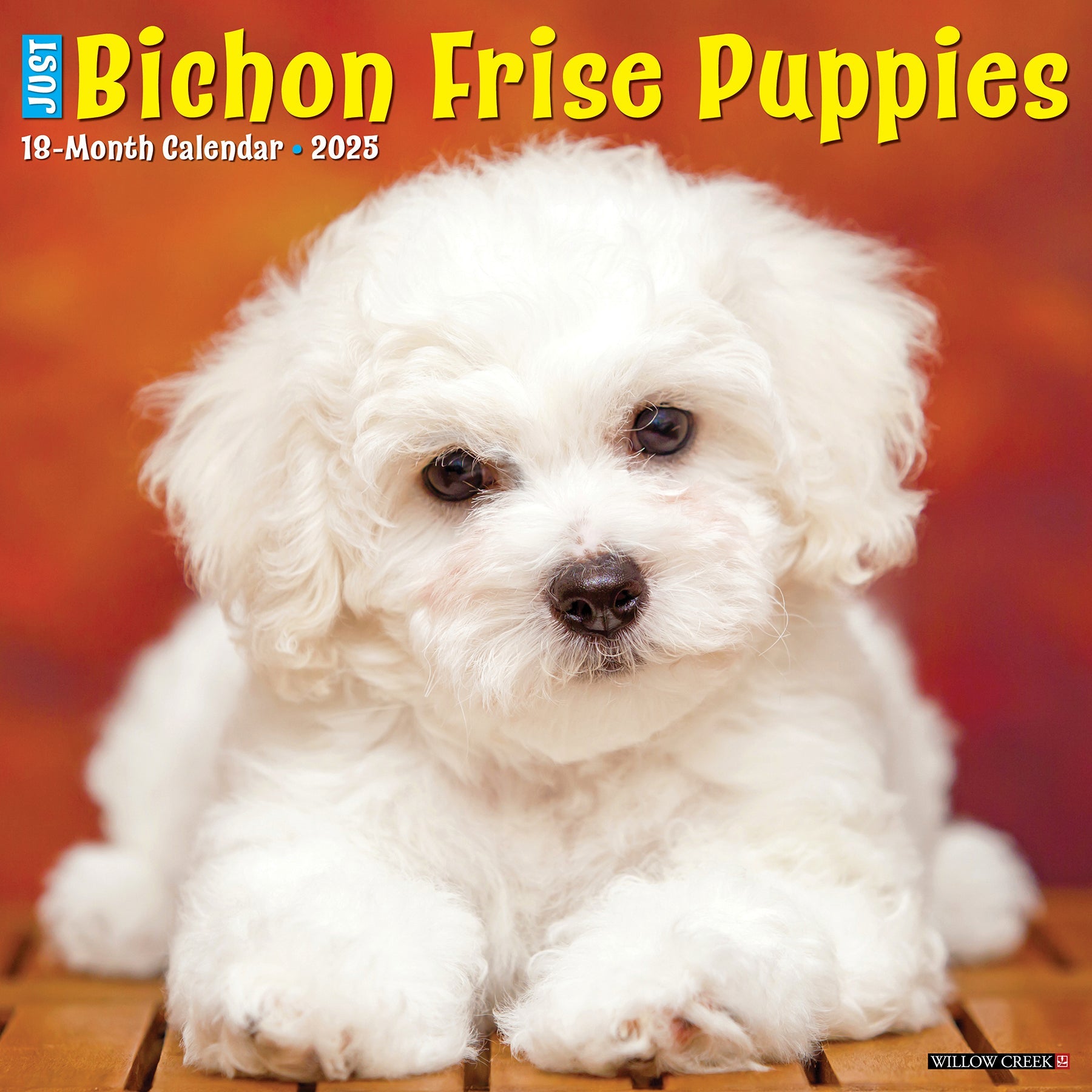 2025 Bichon Frise Puppies - Square Wall Calendar