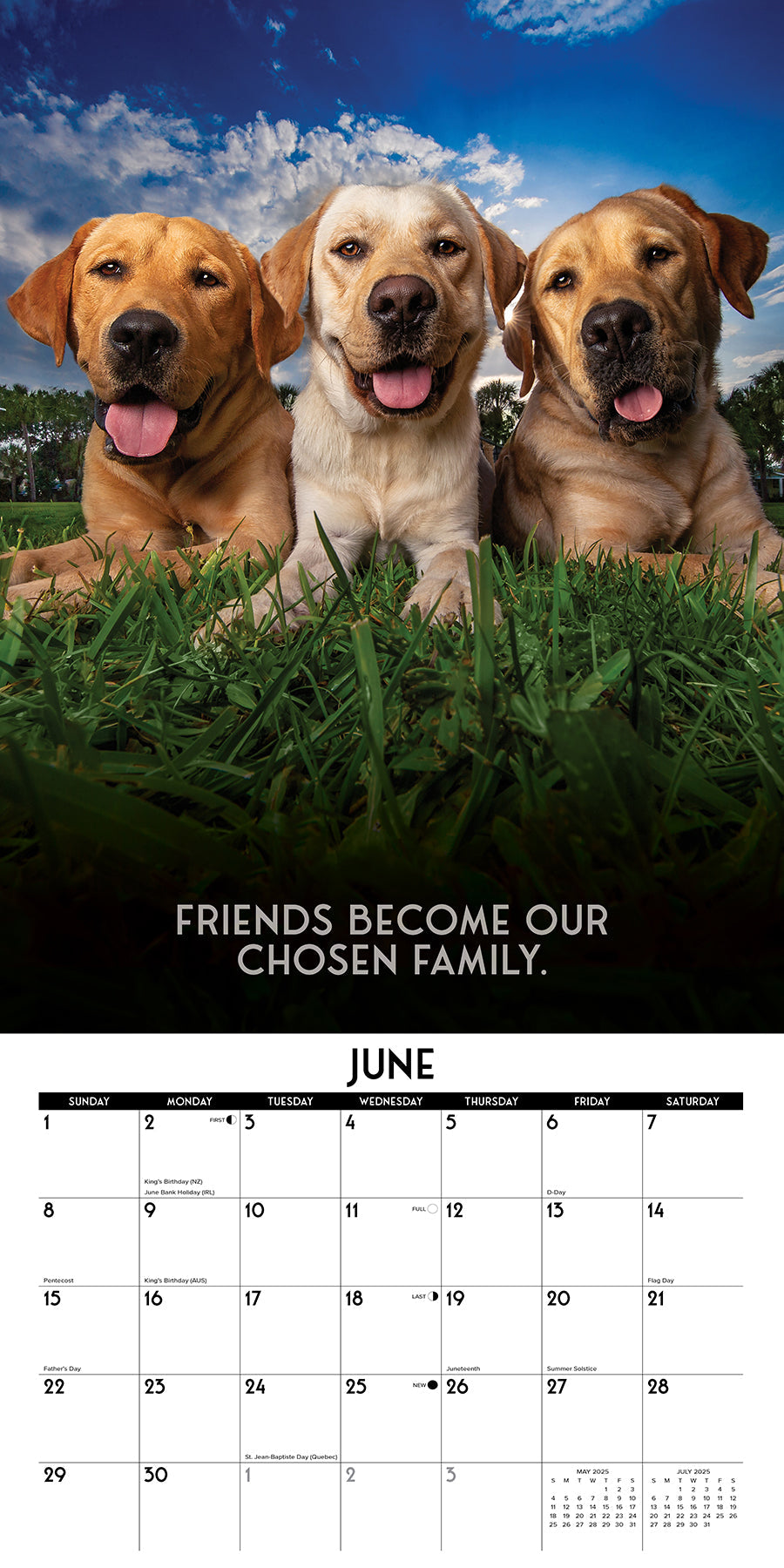 2025 Dog's Life - Square Wall Calendar