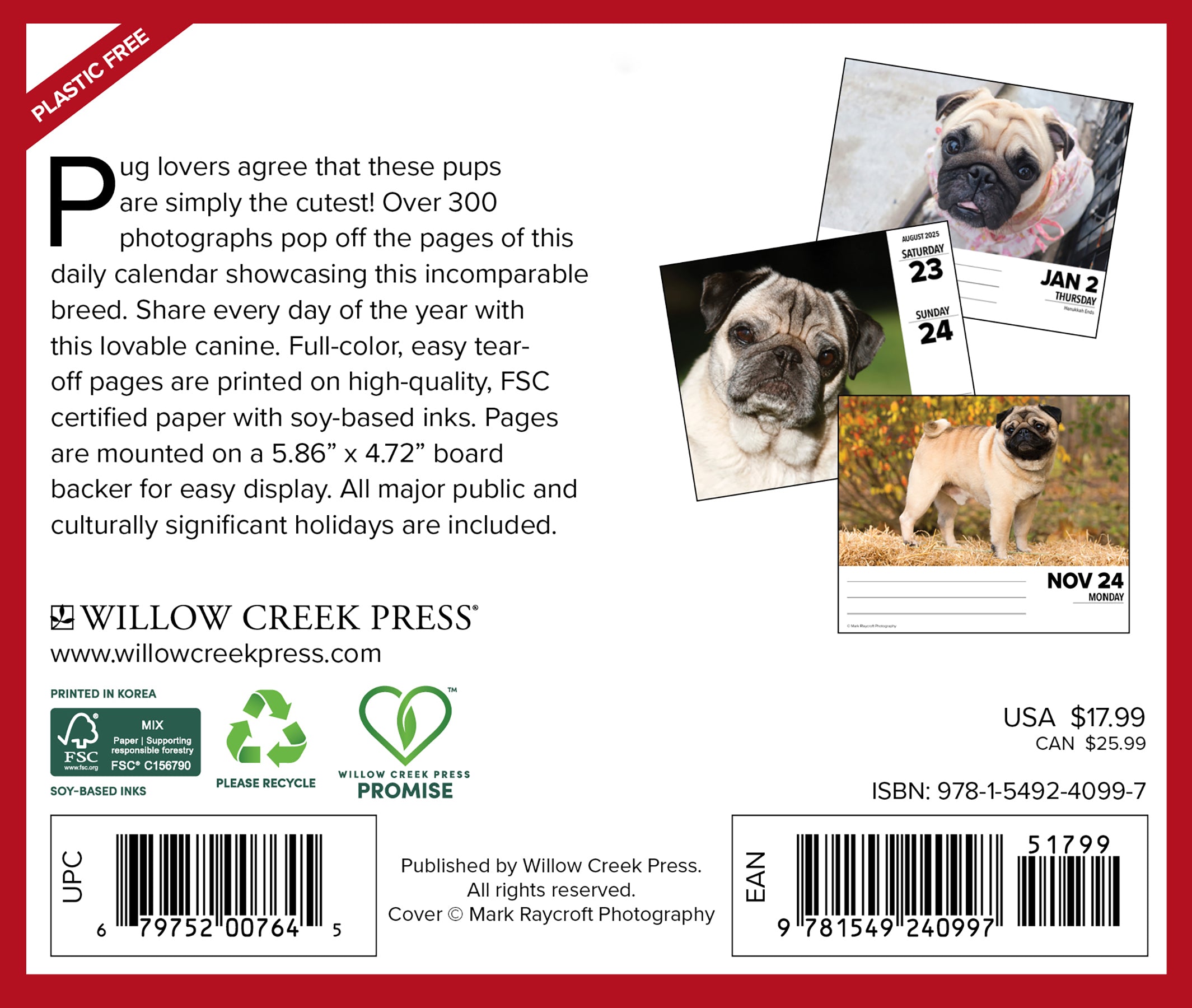 2025 Pugs - Daily Boxed Page-A-Day Calendar
