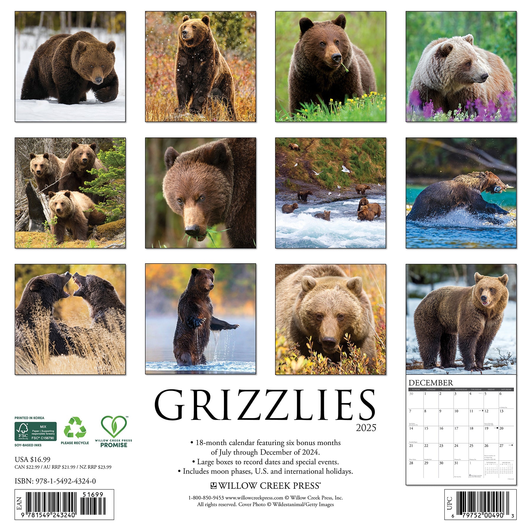 2025 Grizzlies - Square Wall Calendar