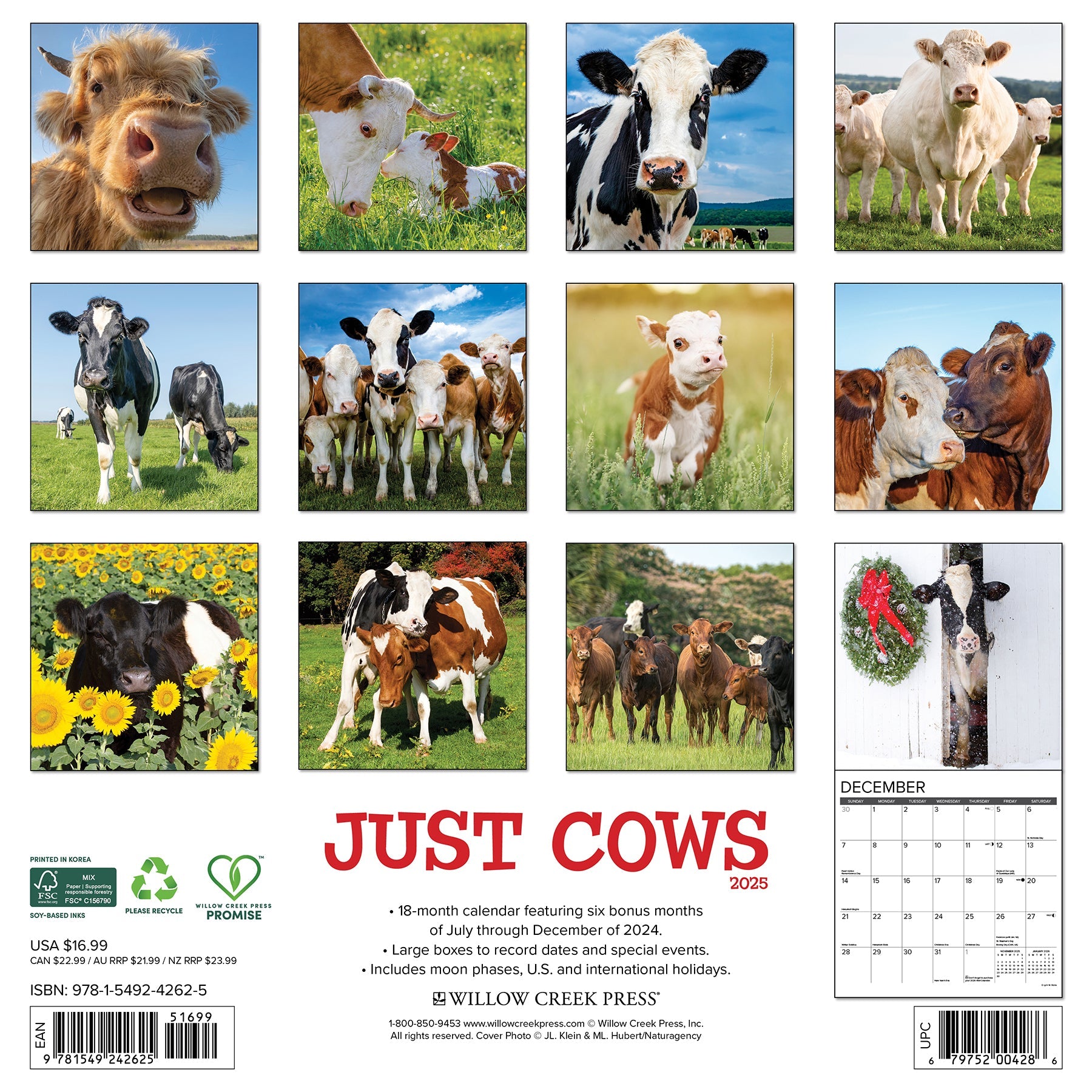 2025 Cows - Square Wall Calendar