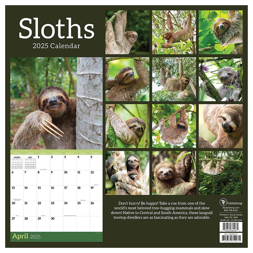 2025 Sloths - Square Wall Calendar