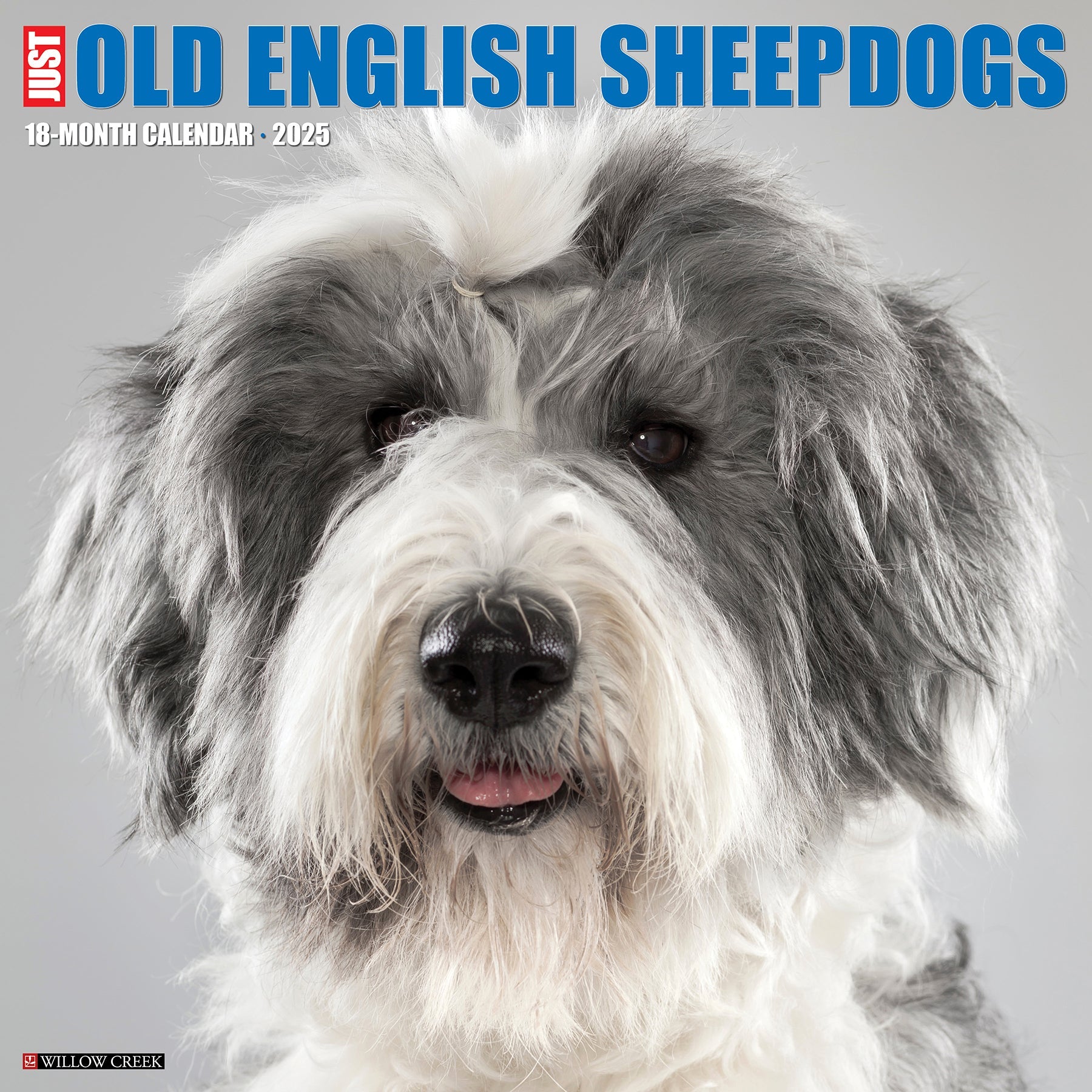 2025 Old English Sheepdogs - Square Wall Calendar