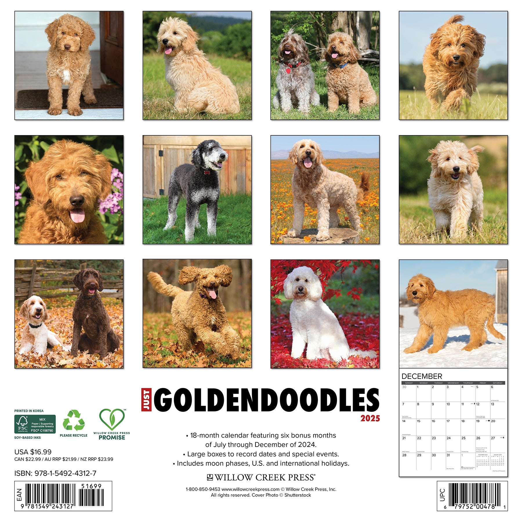 2025 Goldendoodles - Square Wall Calendar