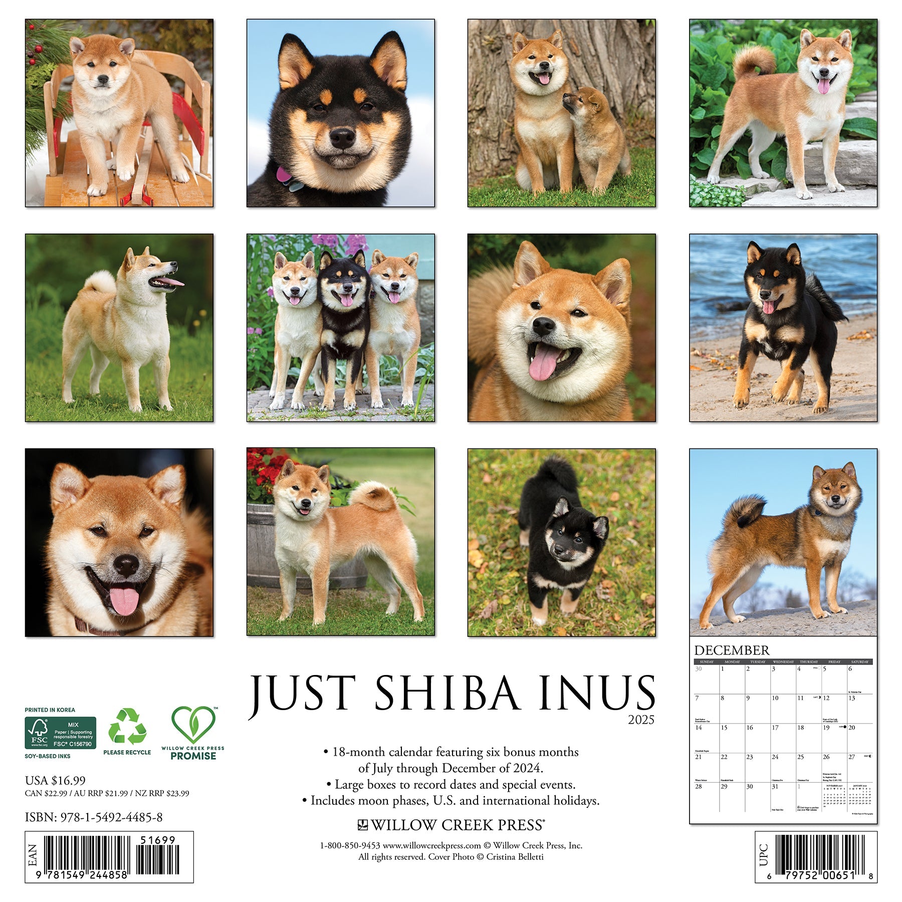 2025 Shiba Inus - Square Wall Calendar