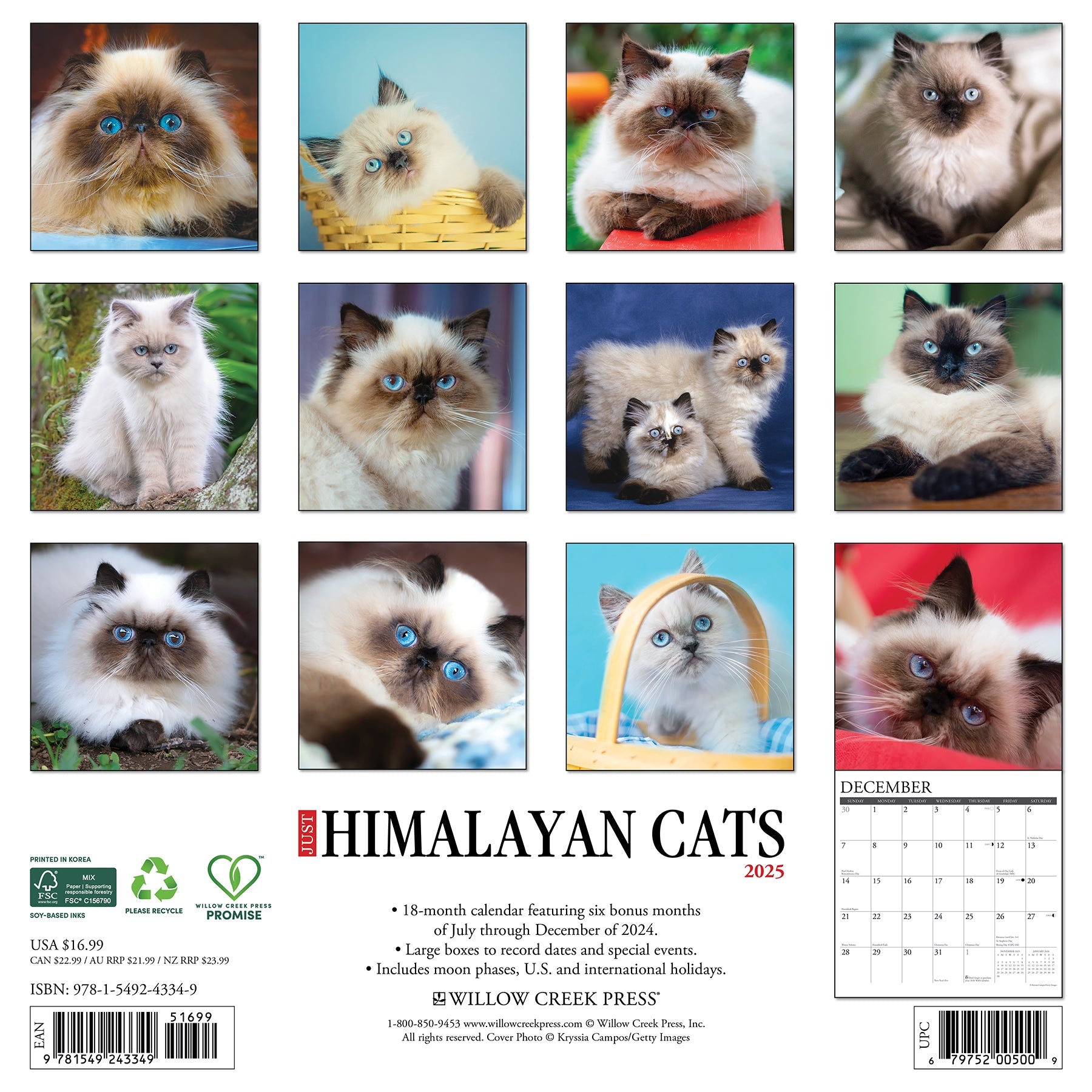 2025 Himalayan Cats - Square Wall Calendar