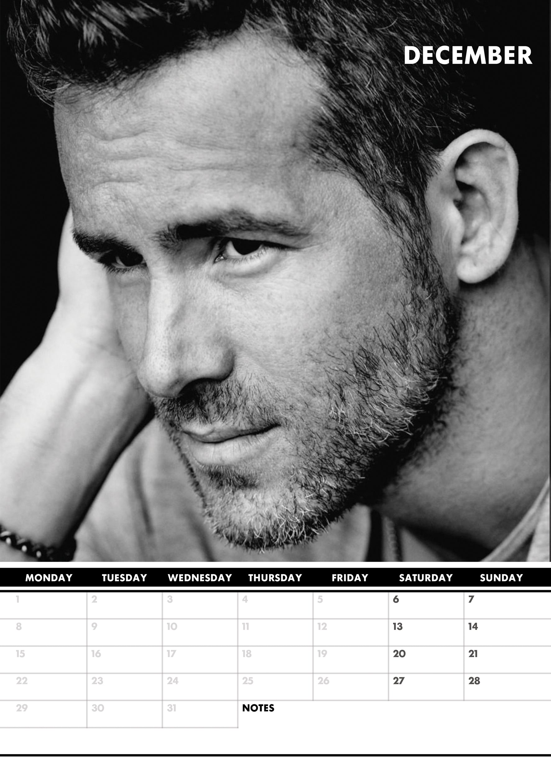 2025 Ryan Reynolds - A3 Wall Calendar