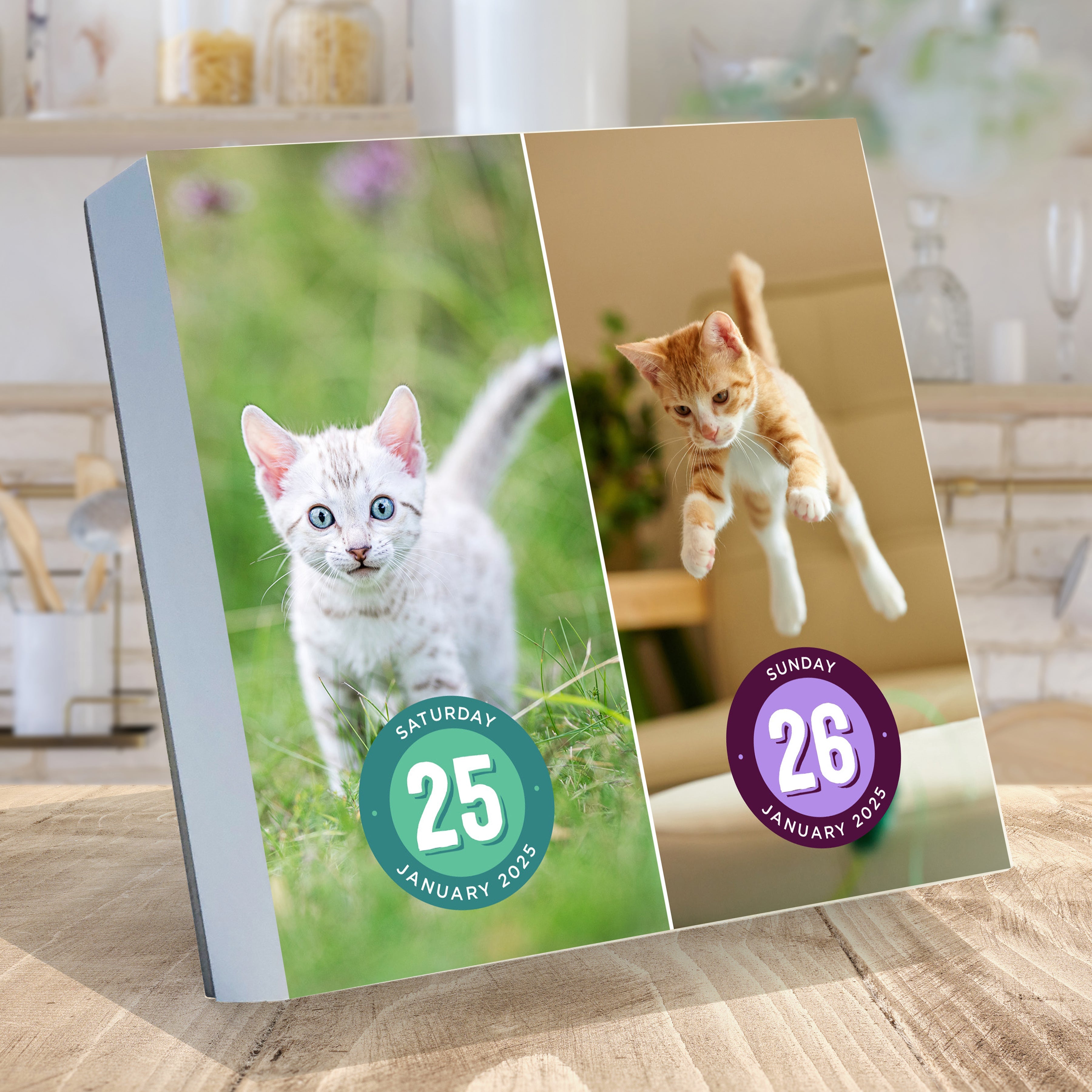 2025 Cat A Day - Daily Boxed Page-A-Day Calendar