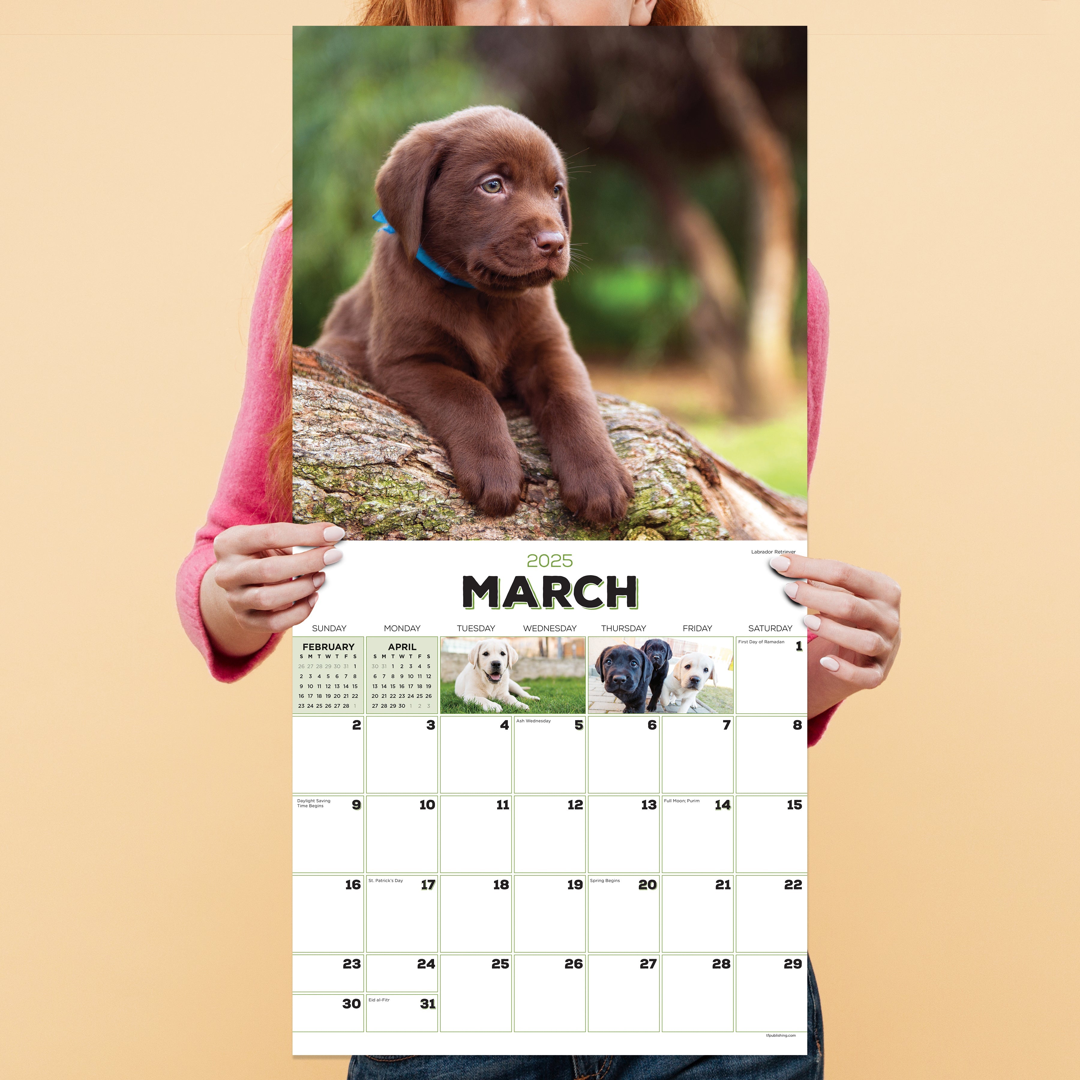 2025 Puppies - Square Wall Calendar