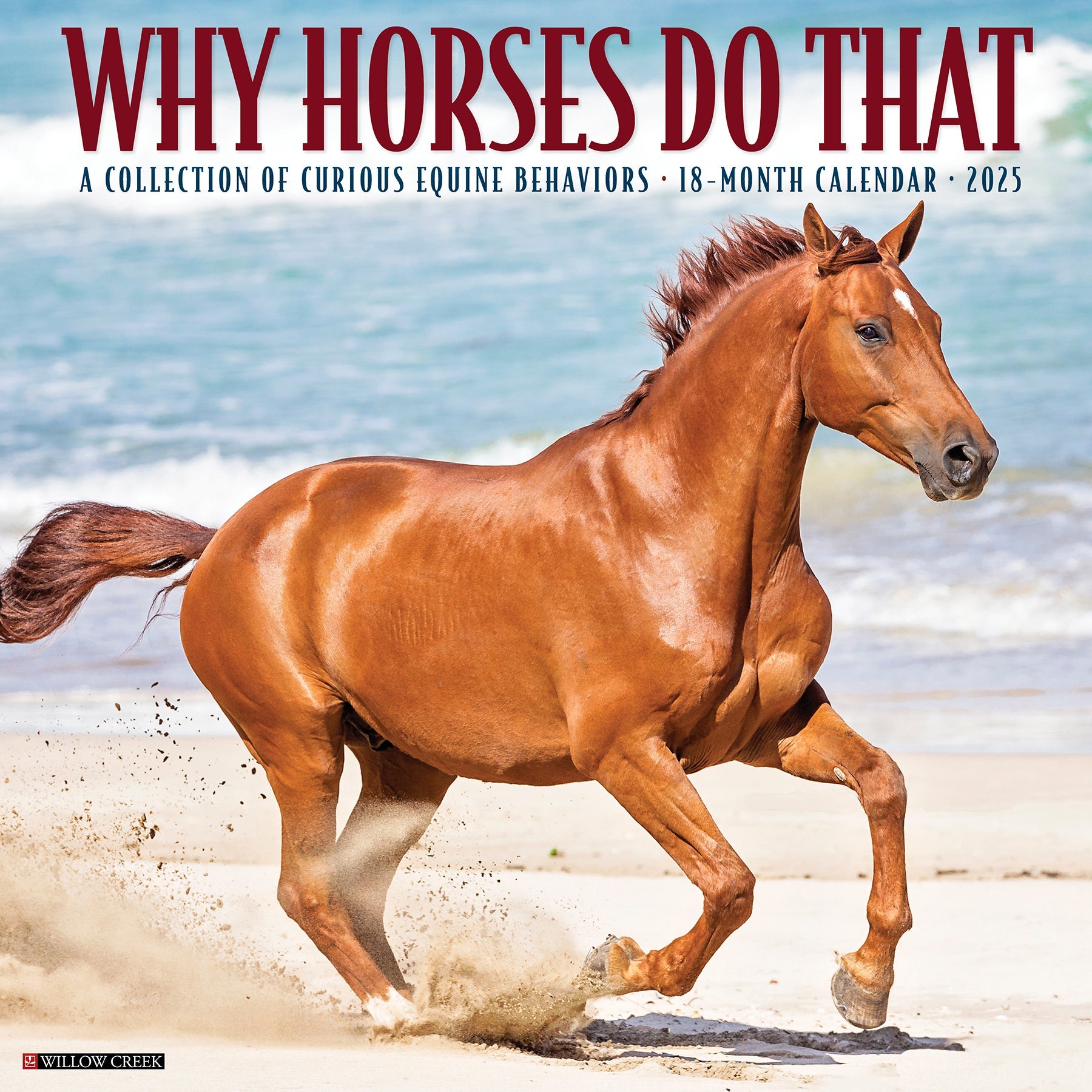 2025 Why Horses Do That - Square Wall Calendar