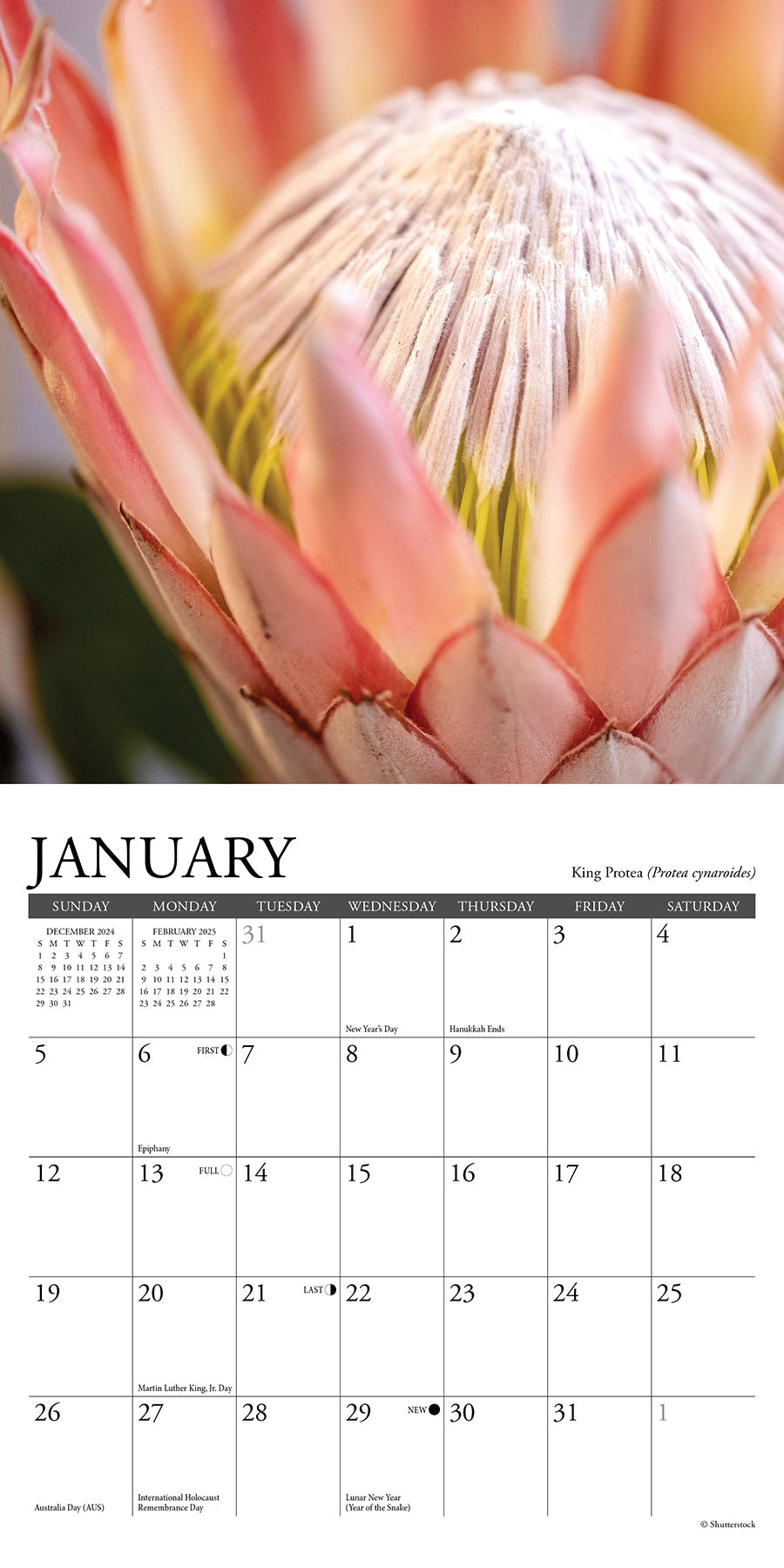 2025 Flowers - Mini Wall Calendar