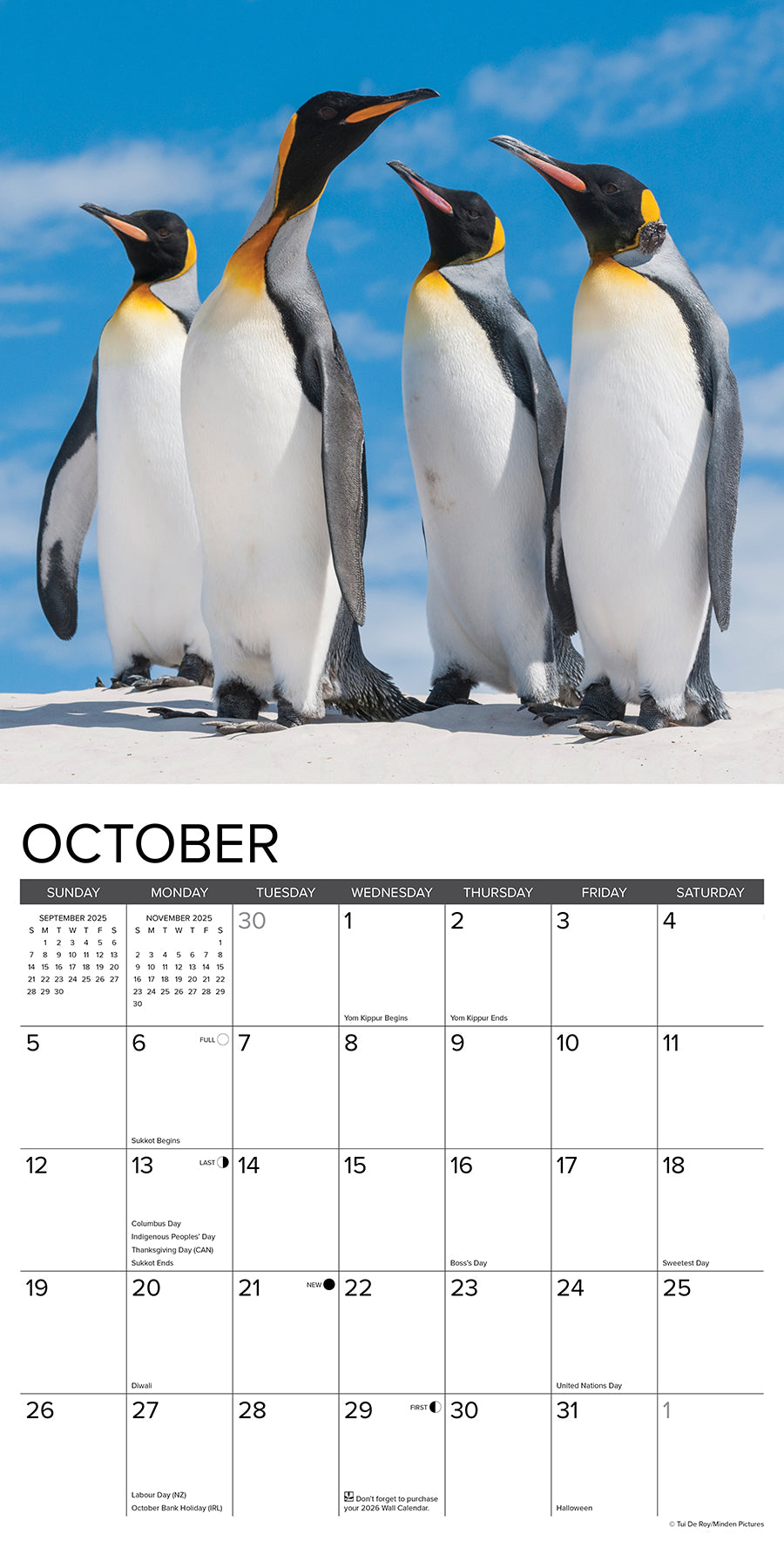 2025 Penguins - Square Wall Calendar