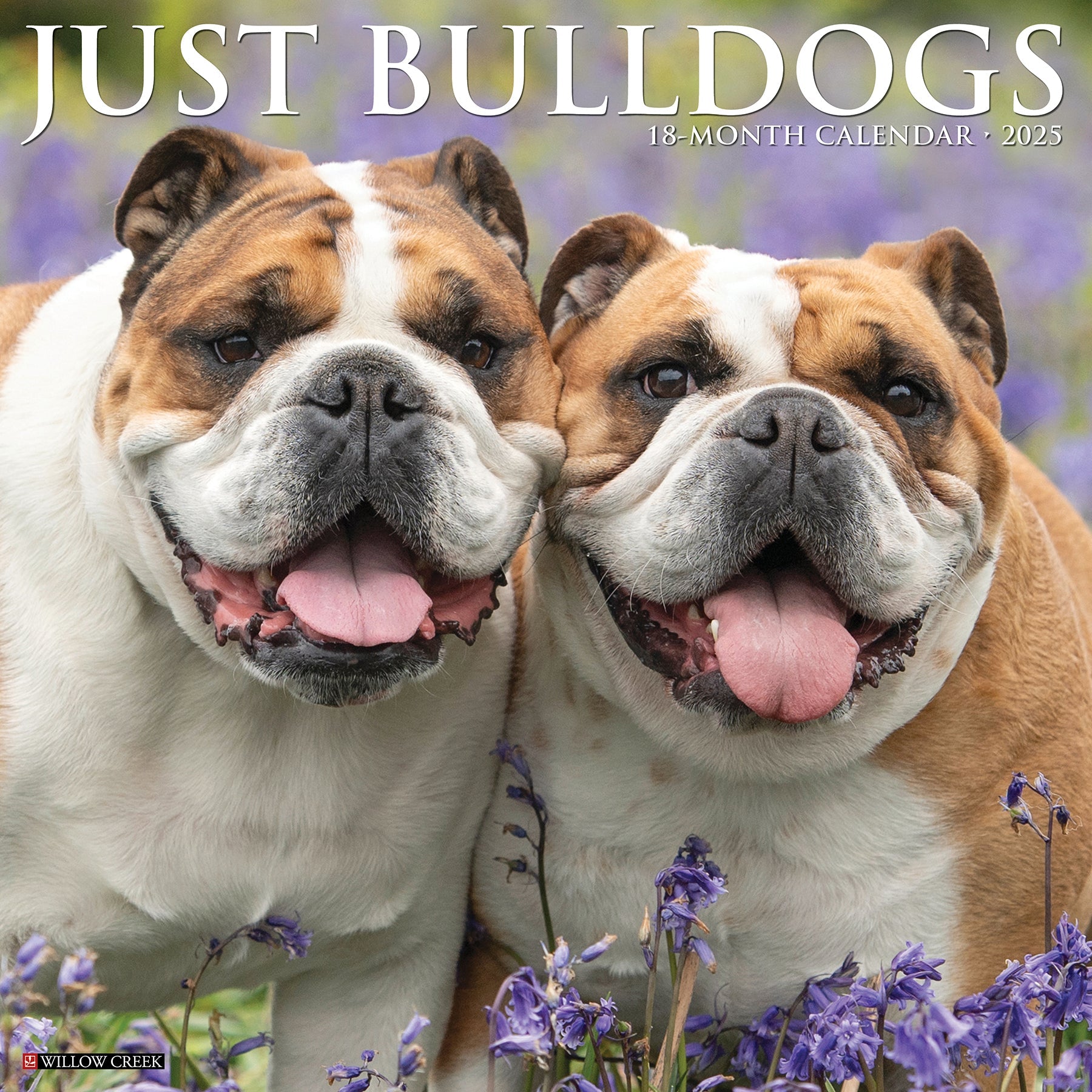 2025 Bulldogs - Square Wall Calendar