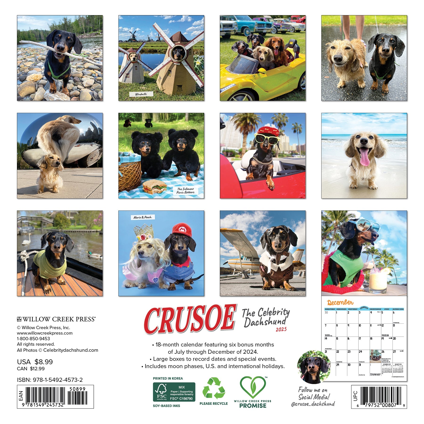 2025 Crusoe the Celebrity Dachshund - Mini Wall Calendar