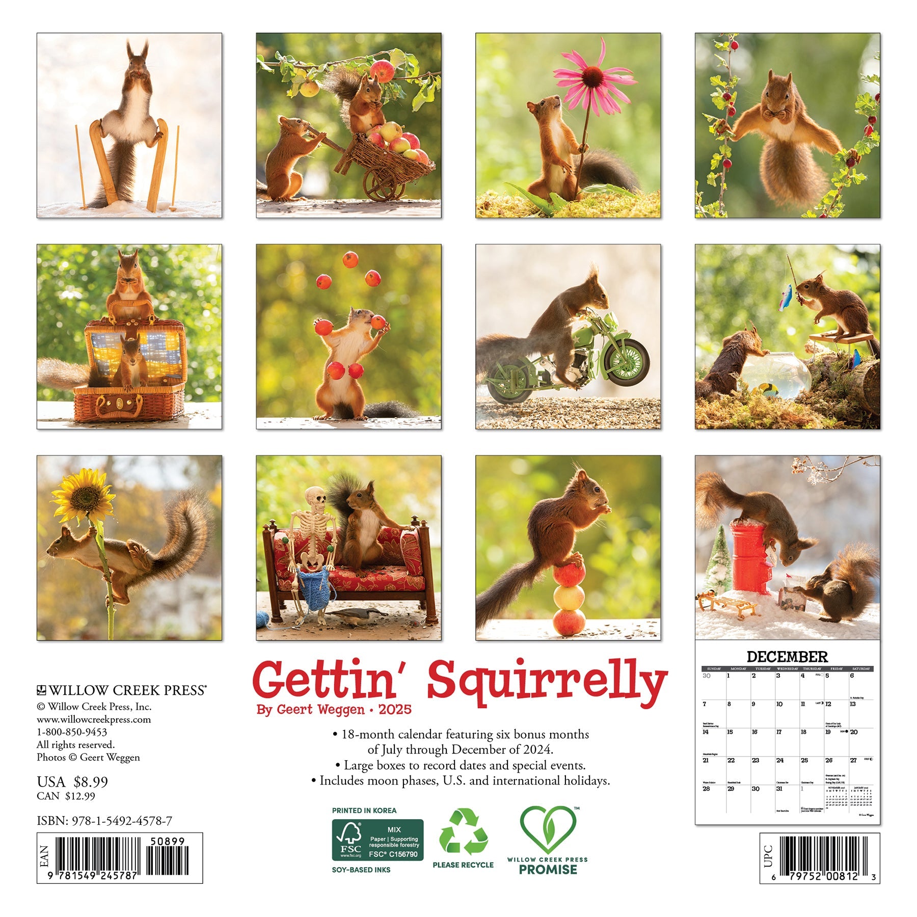 2025 Gettin' Squirrelly - Mini Wall Calendar