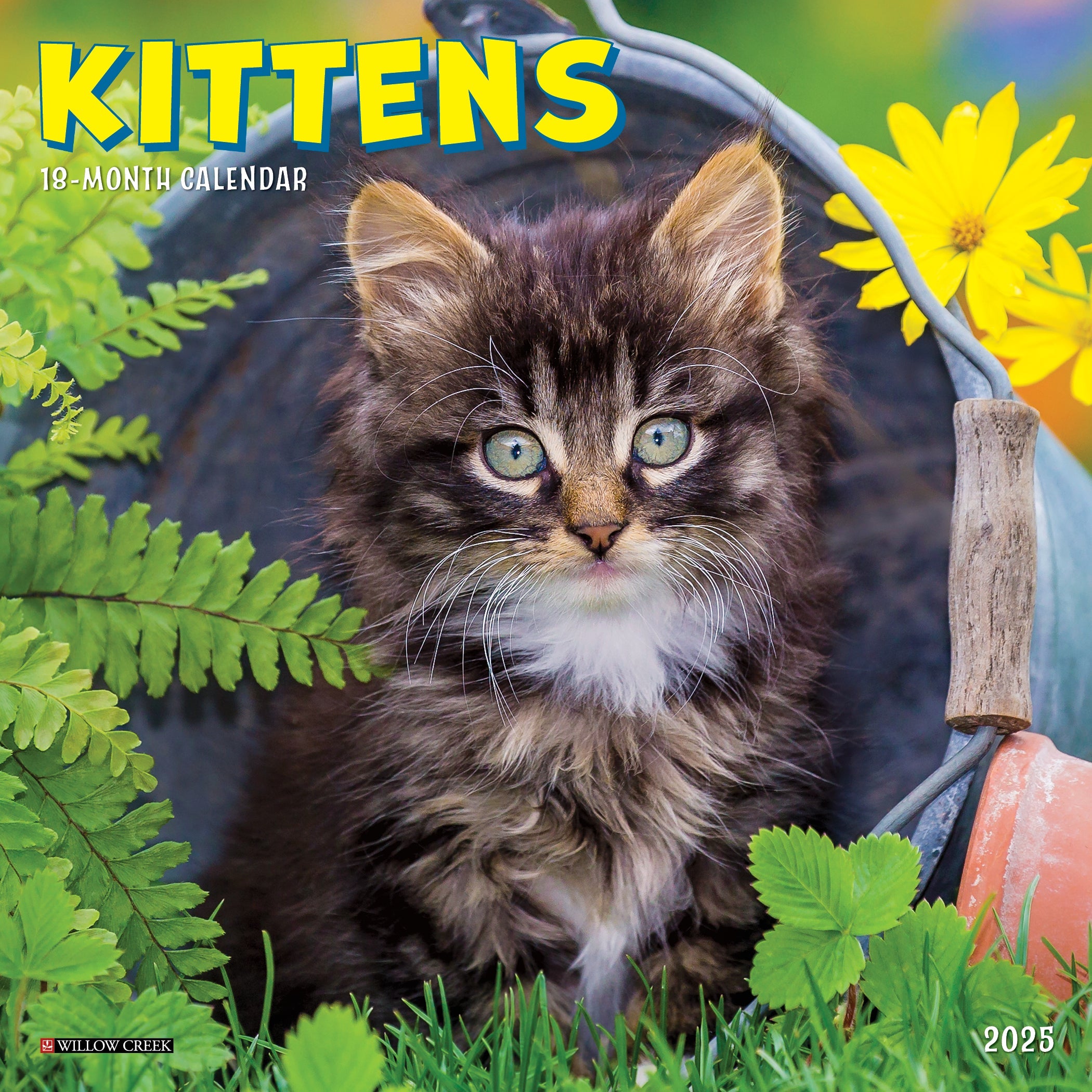 2025 Kittens - Mini Wall Calendar