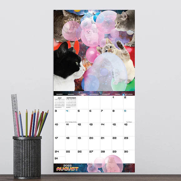 2025 Space Cats - Mini Wall Calendar