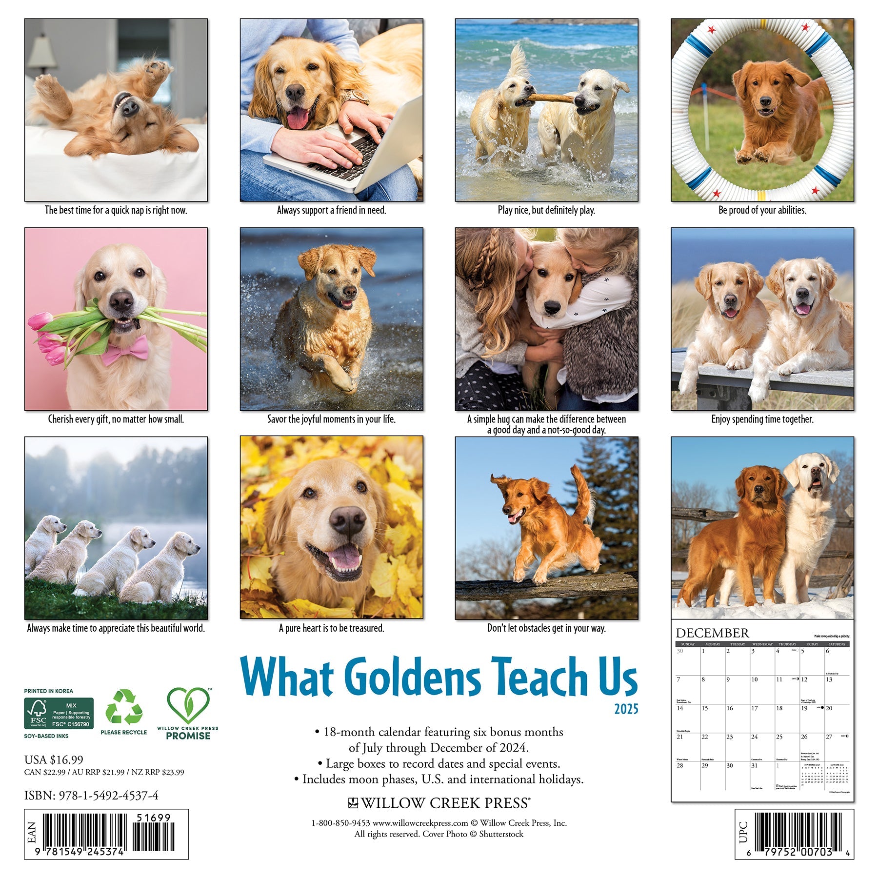 2025 What Goldens Teach Us - Square Wall Calendar