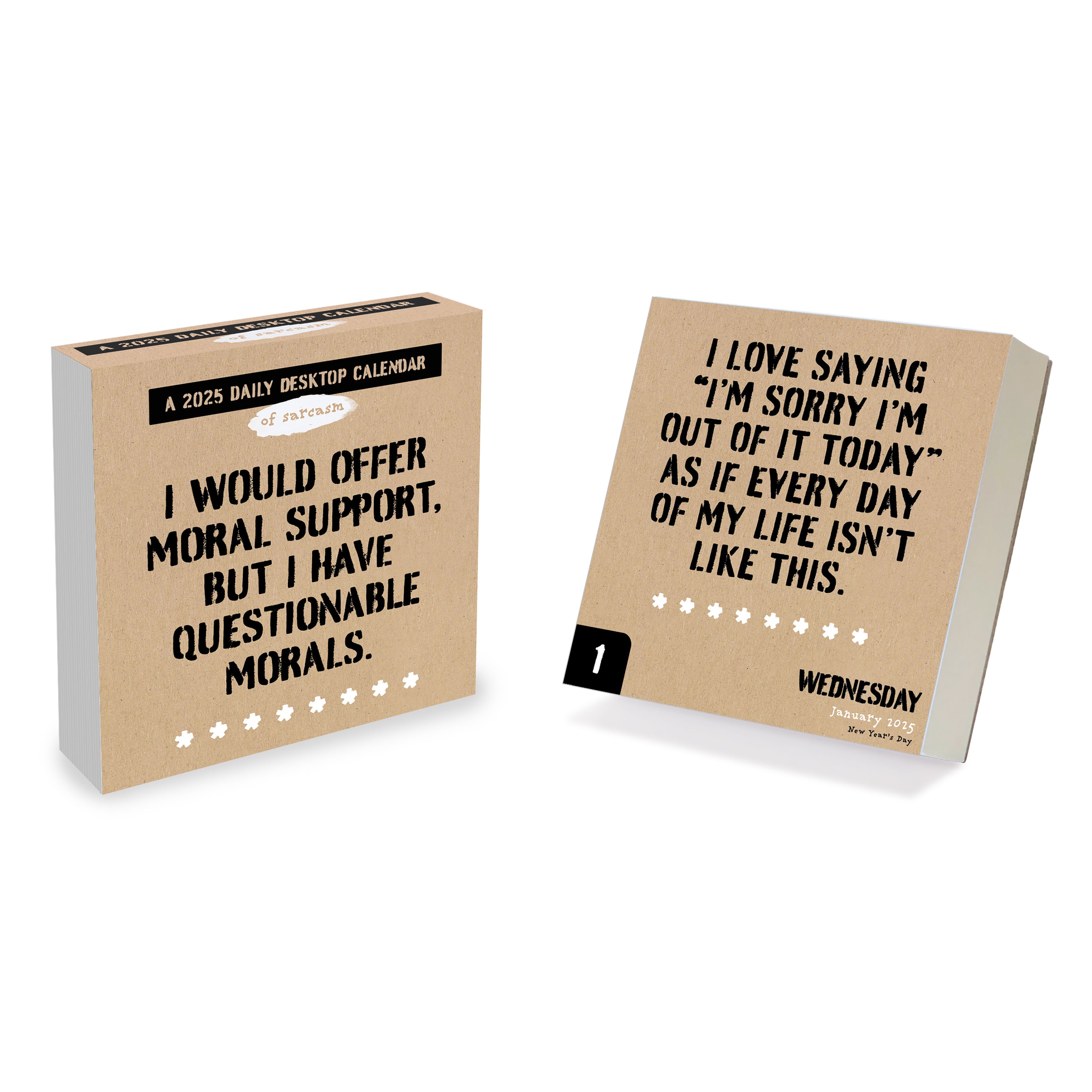 2025 Anti Affirmations - Daily Boxed Page-A-Day Calendar