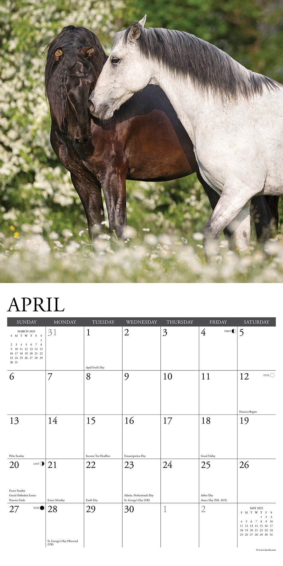 2025 Horses - Square Wall Calendar