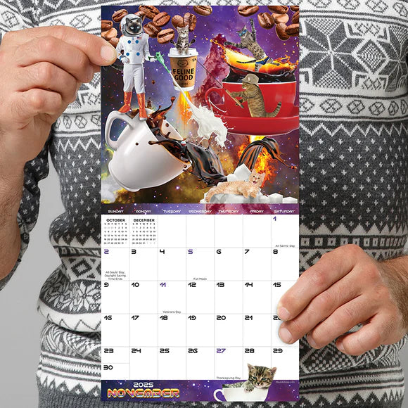 2025 Space Cats - Mini Wall Calendar