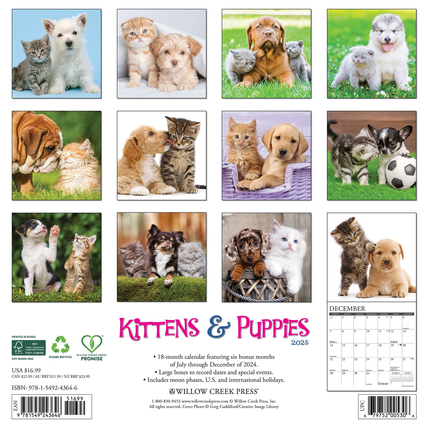 2025 Kittens & Puppies - Square Wall Calendar