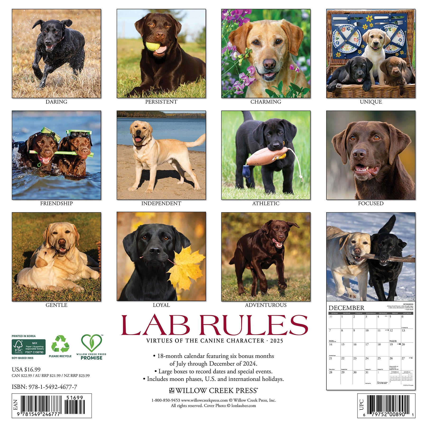 2025 Lab Rules - Square Wall Calendar