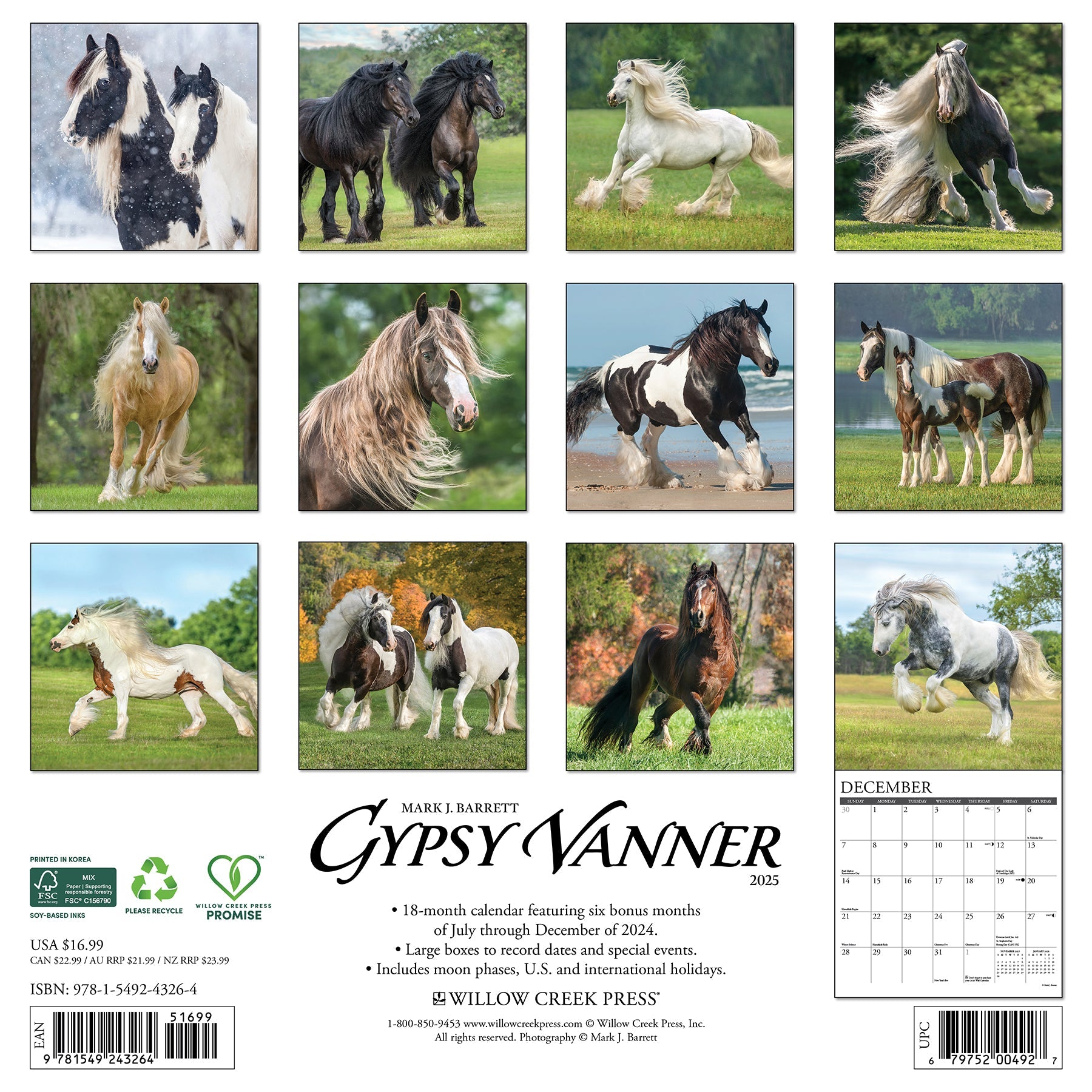2025 Gypsy Vanner Horse - Square Wall Calendar