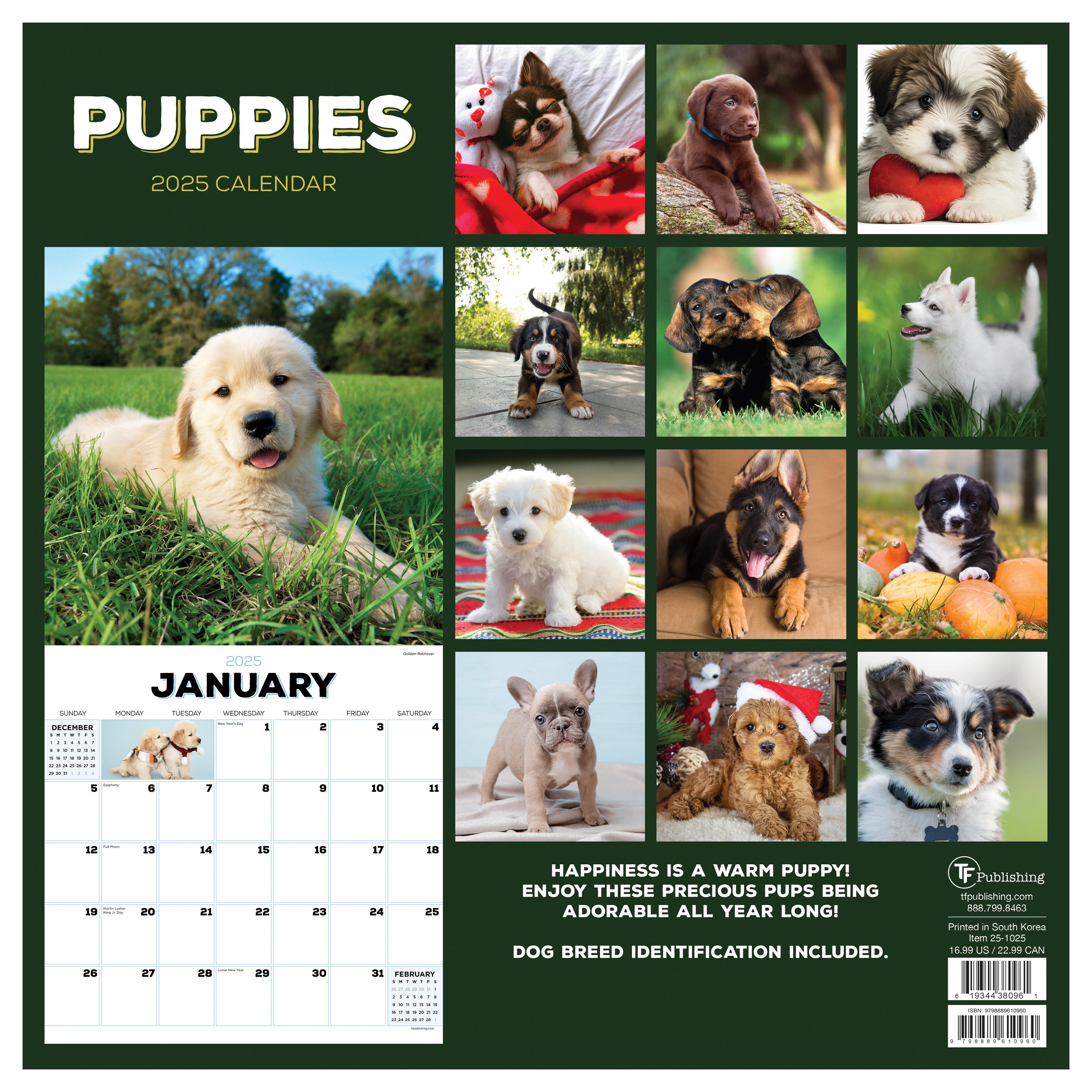 2025 Puppies - Square Wall Calendar