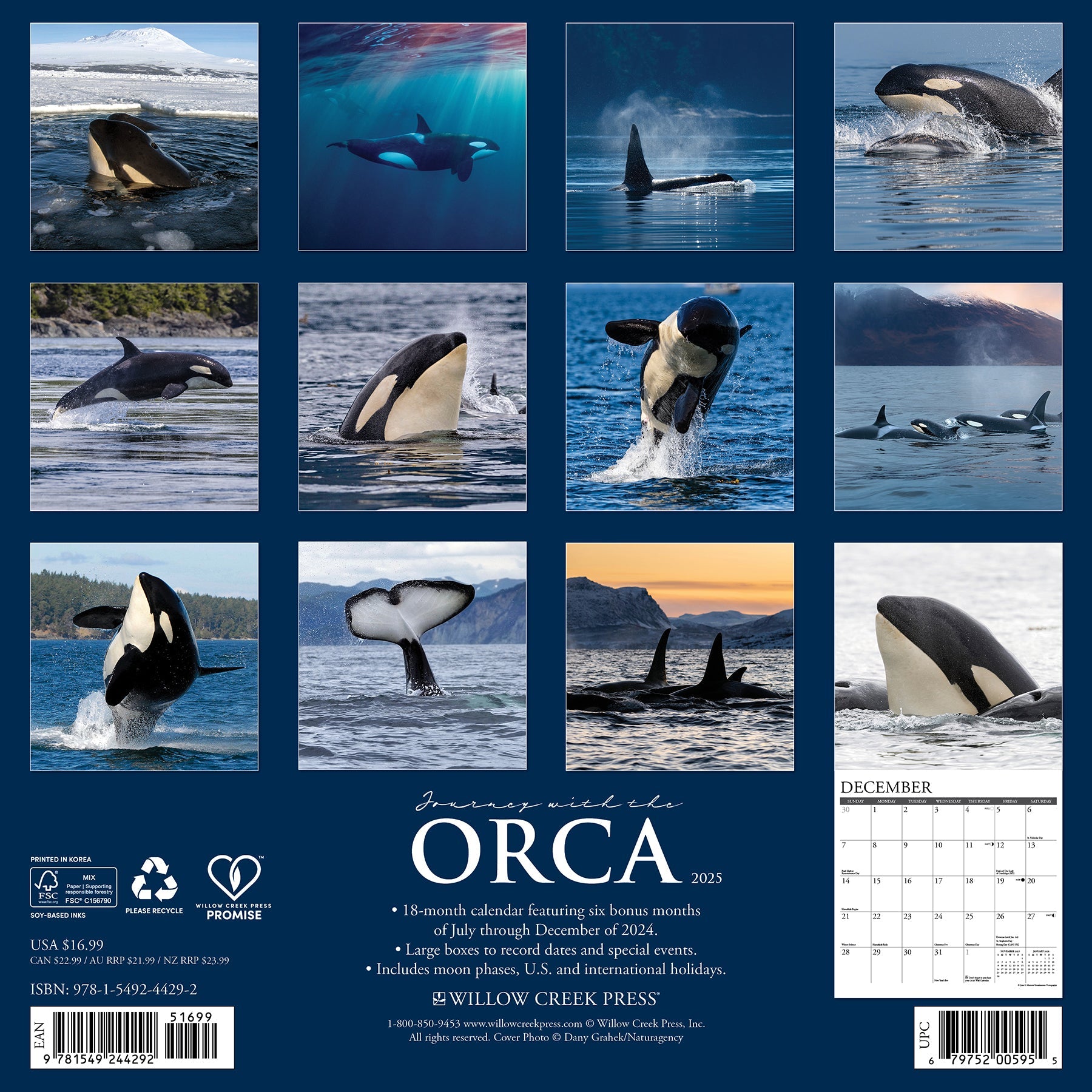 2025 Orca (Journey With the) - Square Wall Calendar