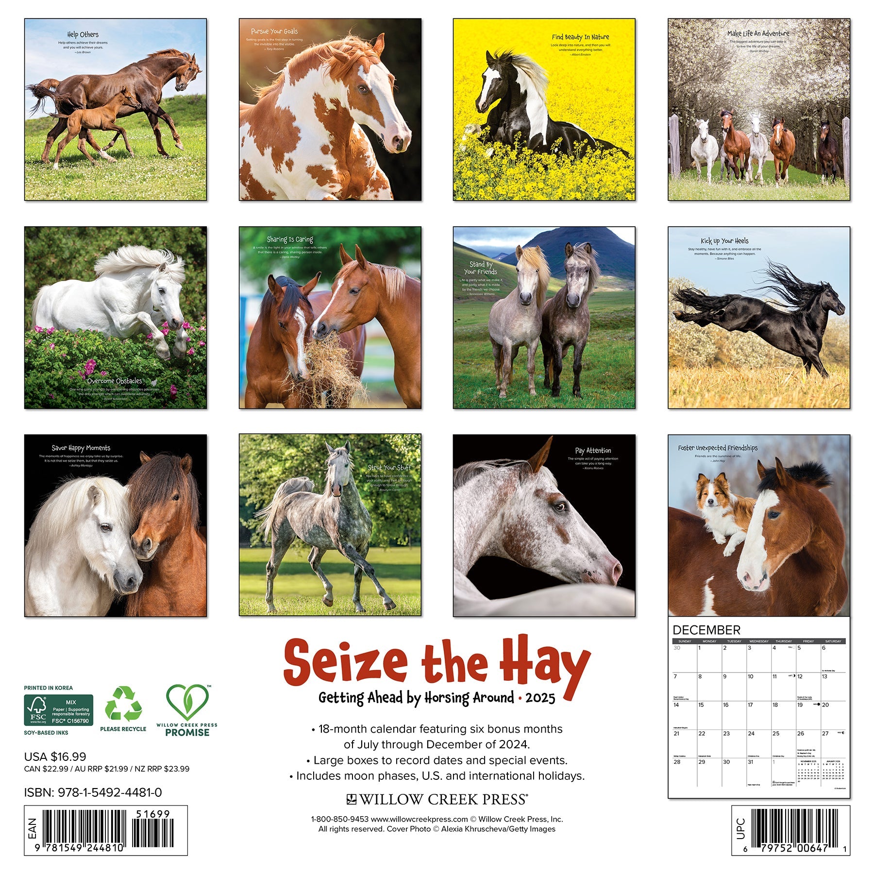 2025 Seize the Hay - Square Wall Calendar