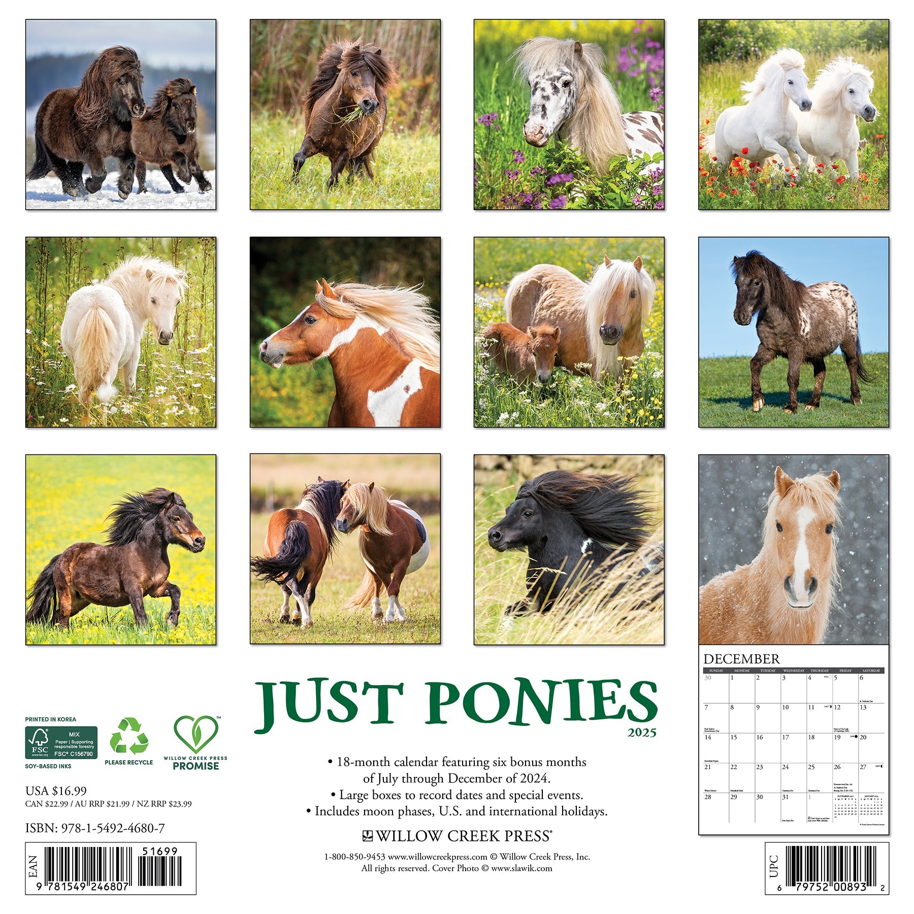 2025 Ponies - Square Wall Calendar