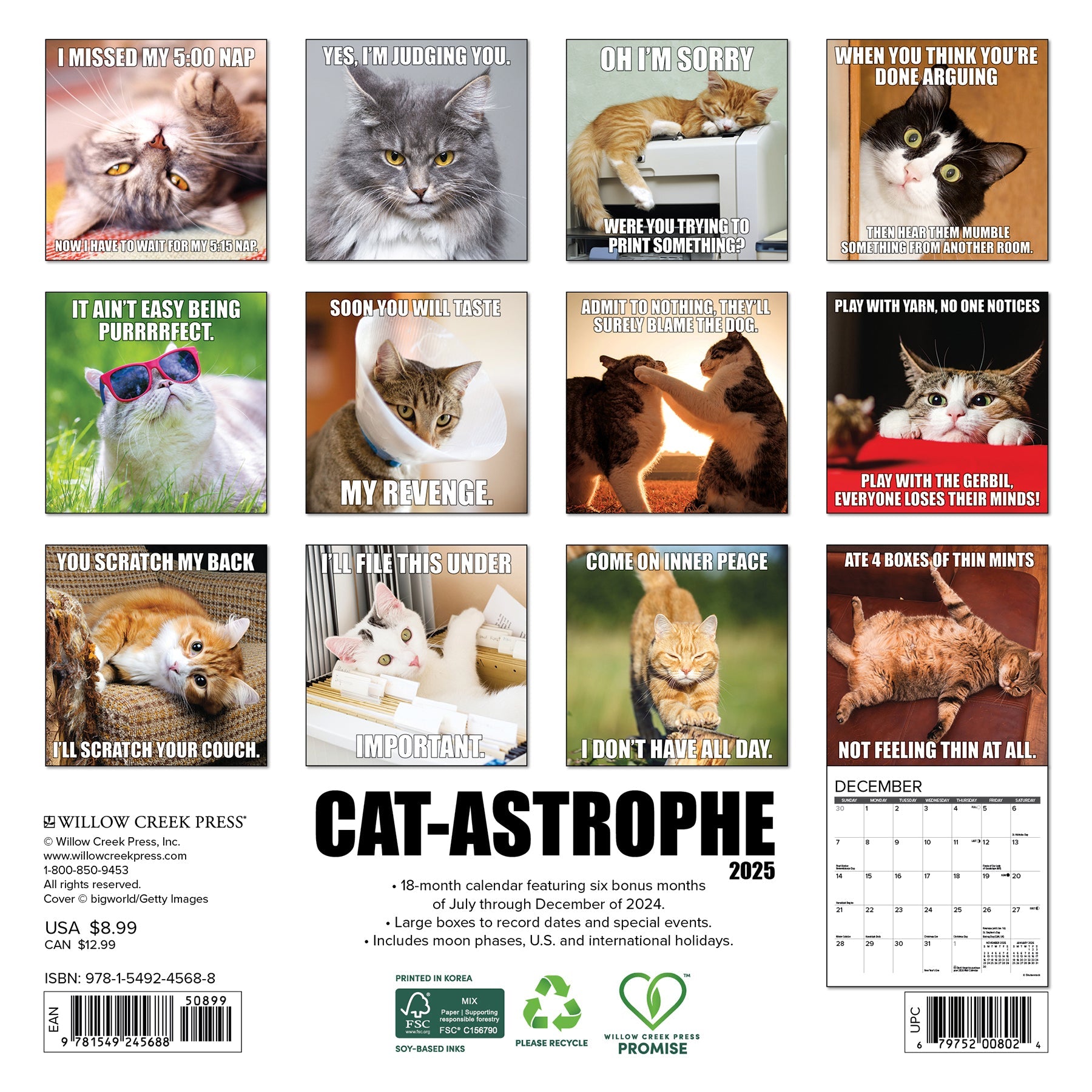 2025 Cat-astrophe - Mini Wall Calendar