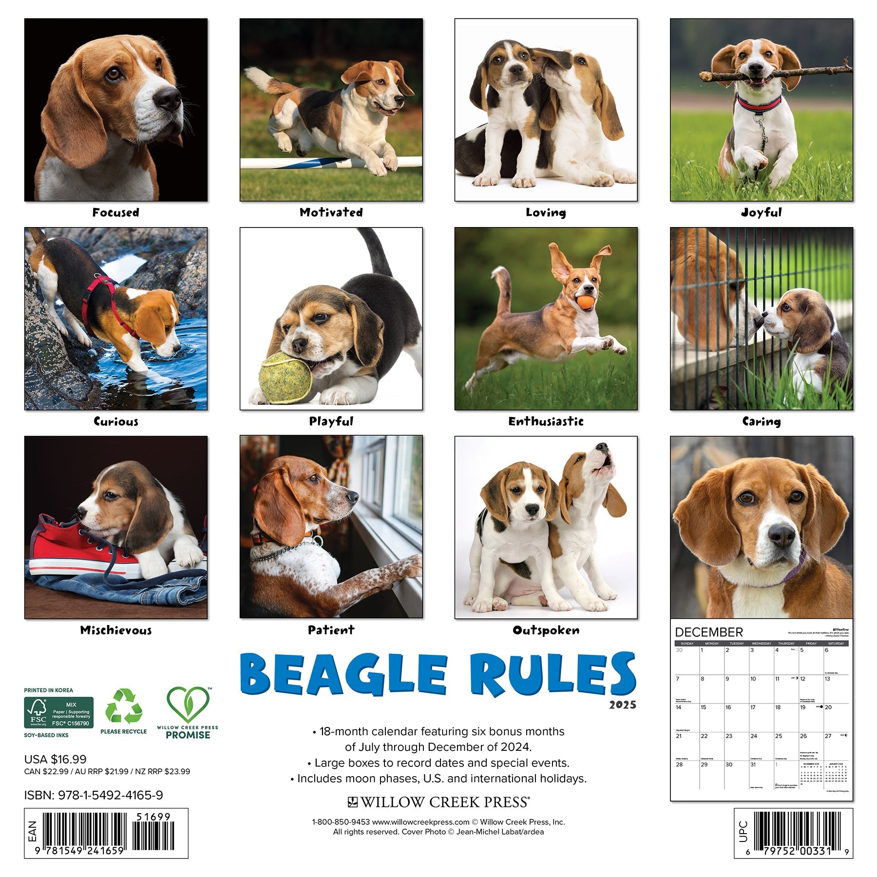 2025 Beagle Rules - Square Wall Calendar