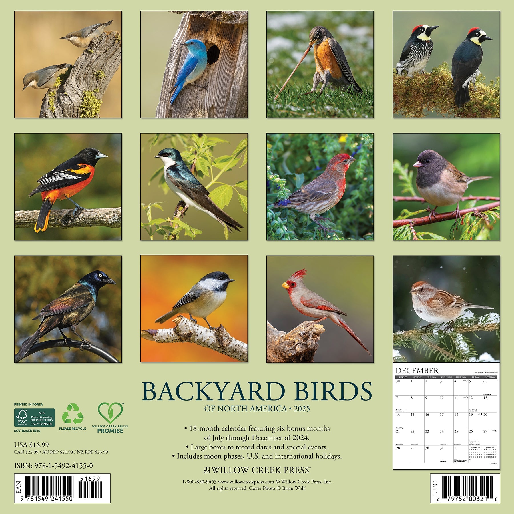 2025 Backyard Birds - Square Wall Calendar