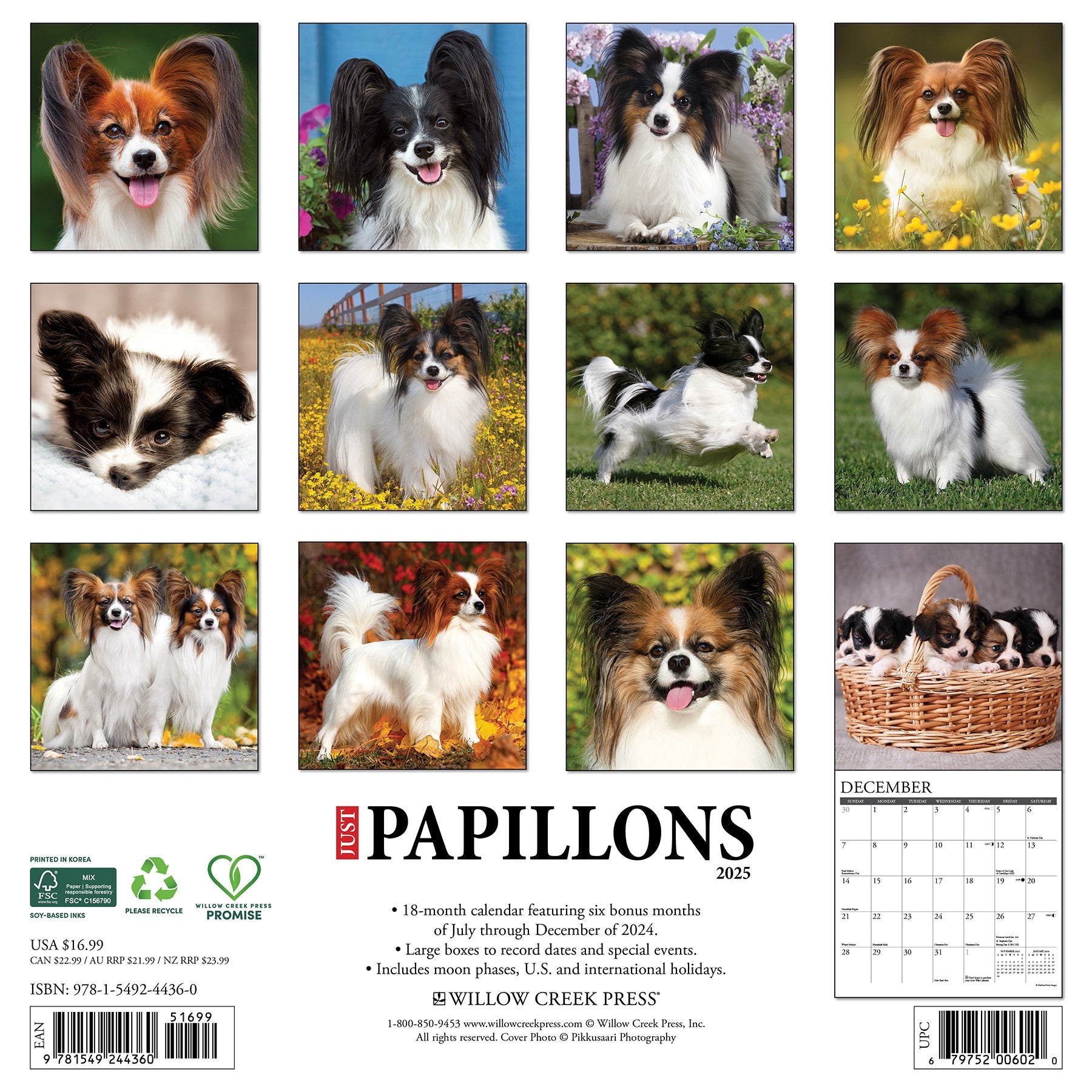 2025 Papillons - Square Wall Calendar