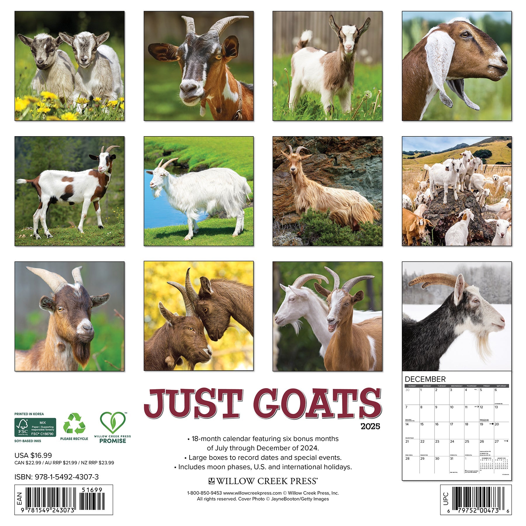 2025 Goats - Square Wall Calendar